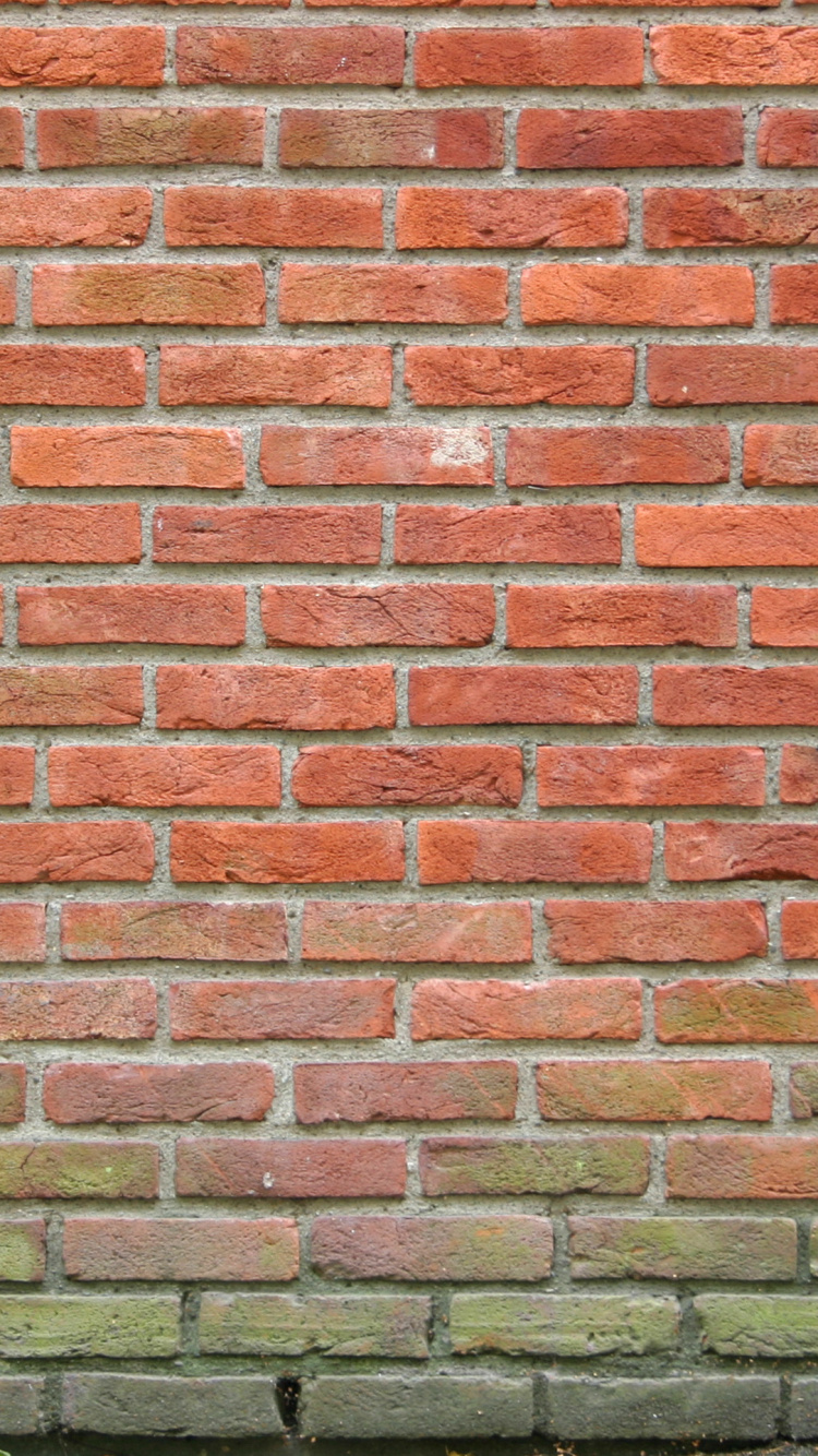 Green Grass Beside Brown Brick Wall. Wallpaper in 750x1334 Resolution