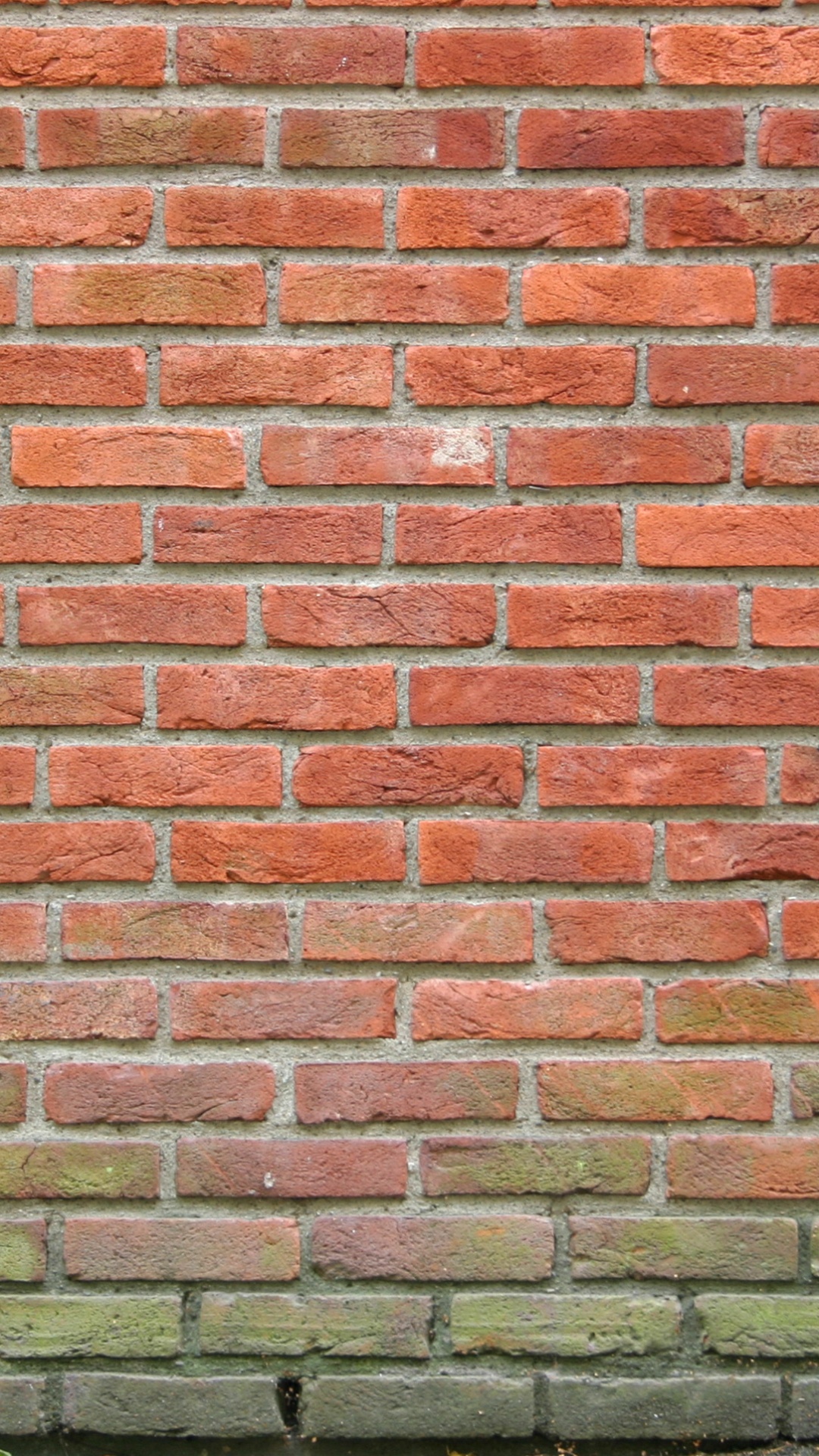 Pasto Verde al Lado de la Pared de Ladrillo Marrón. Wallpaper in 1080x1920 Resolution