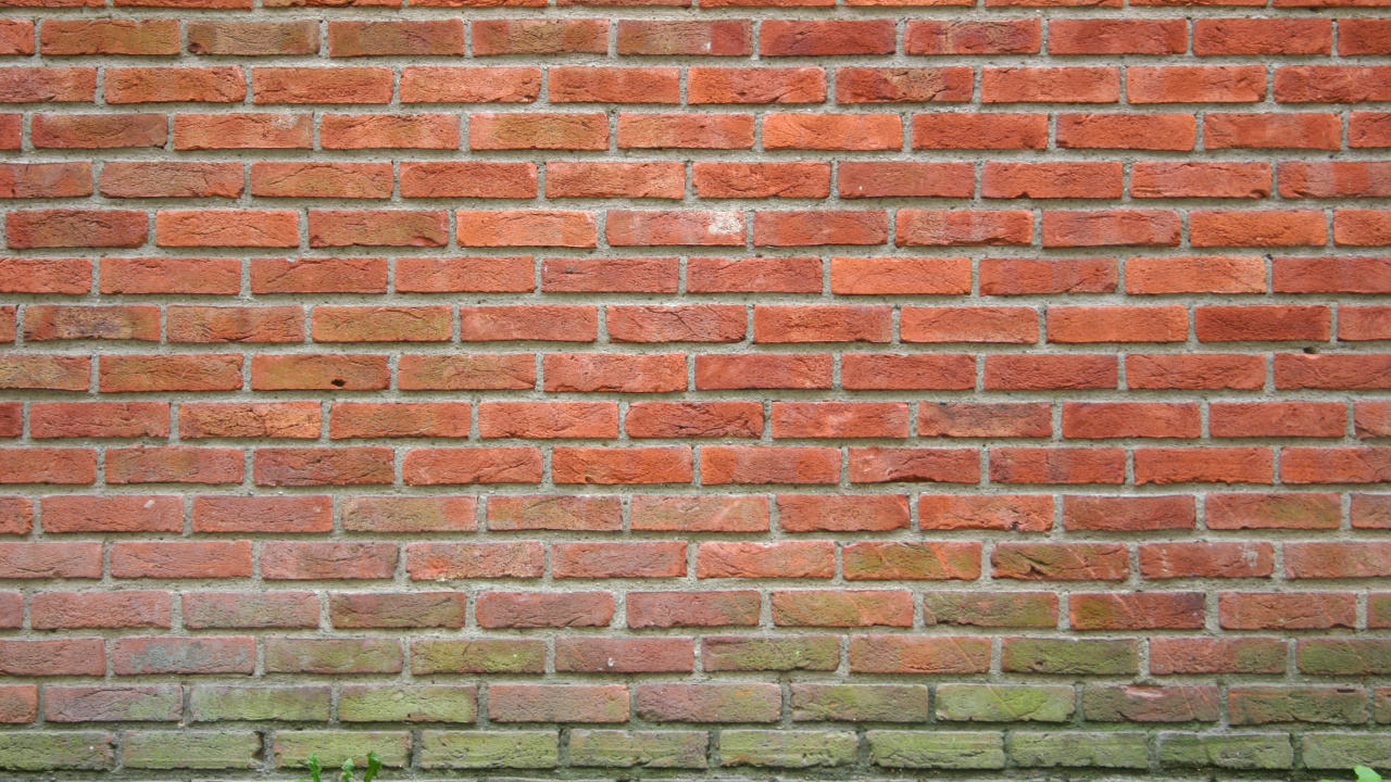 Herbe Verte à Côté du Mur de Briques Brunes. Wallpaper in 1280x720 Resolution
