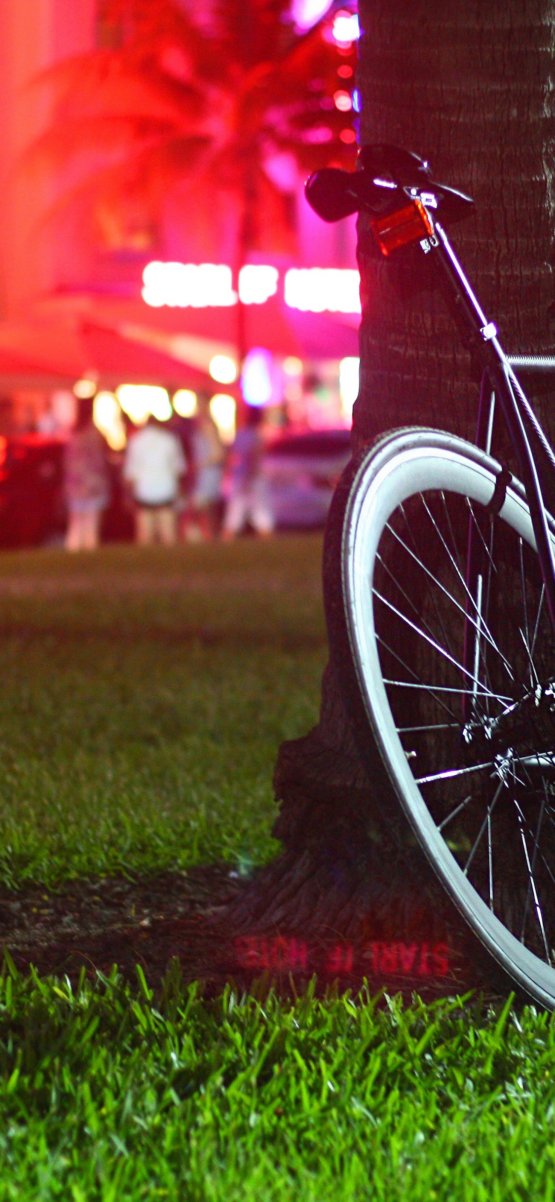 Vélo à Une Vitesse, Fixie - Noir, Vélo, Roue, Pneu. Wallpaper in 1125x2436 Resolution