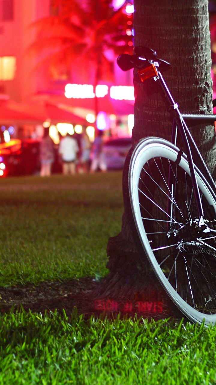 Vélo à Une Vitesse, Fixie - Noir, Vélo, Roue, Pneu. Wallpaper in 720x1280 Resolution