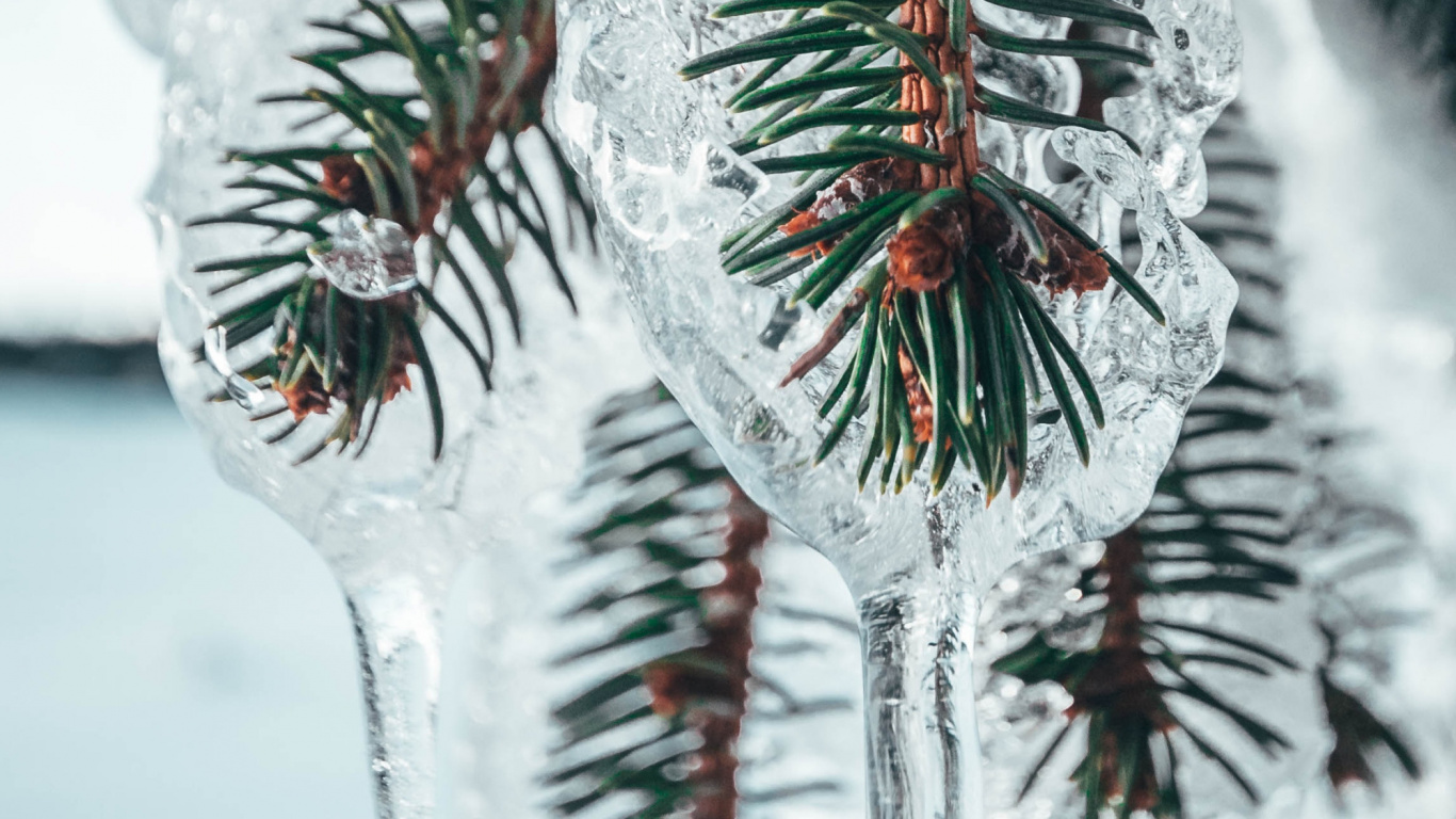 Nokia 8, Google Pixel, Pin, Android, Meizu Série Pro. Wallpaper in 1366x768 Resolution