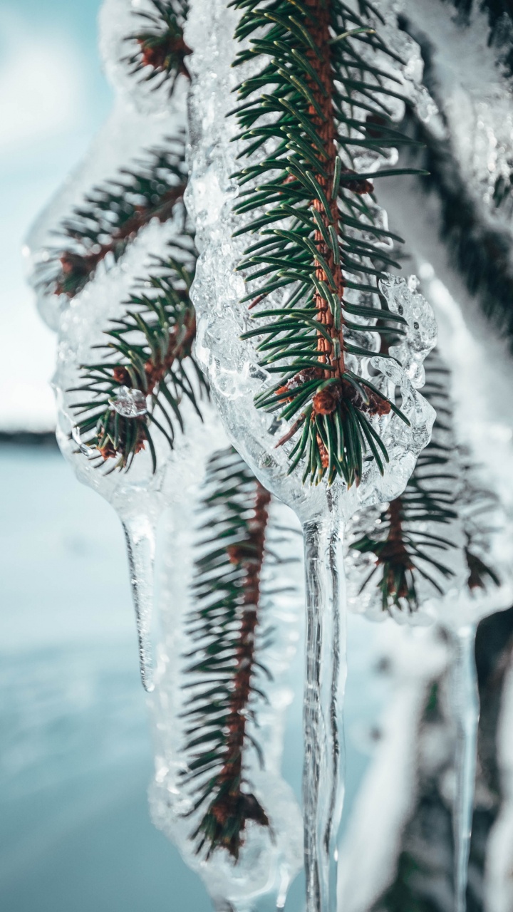 Nokia 8, Google Pixel, Pin, Android, Meizu Série Pro. Wallpaper in 720x1280 Resolution