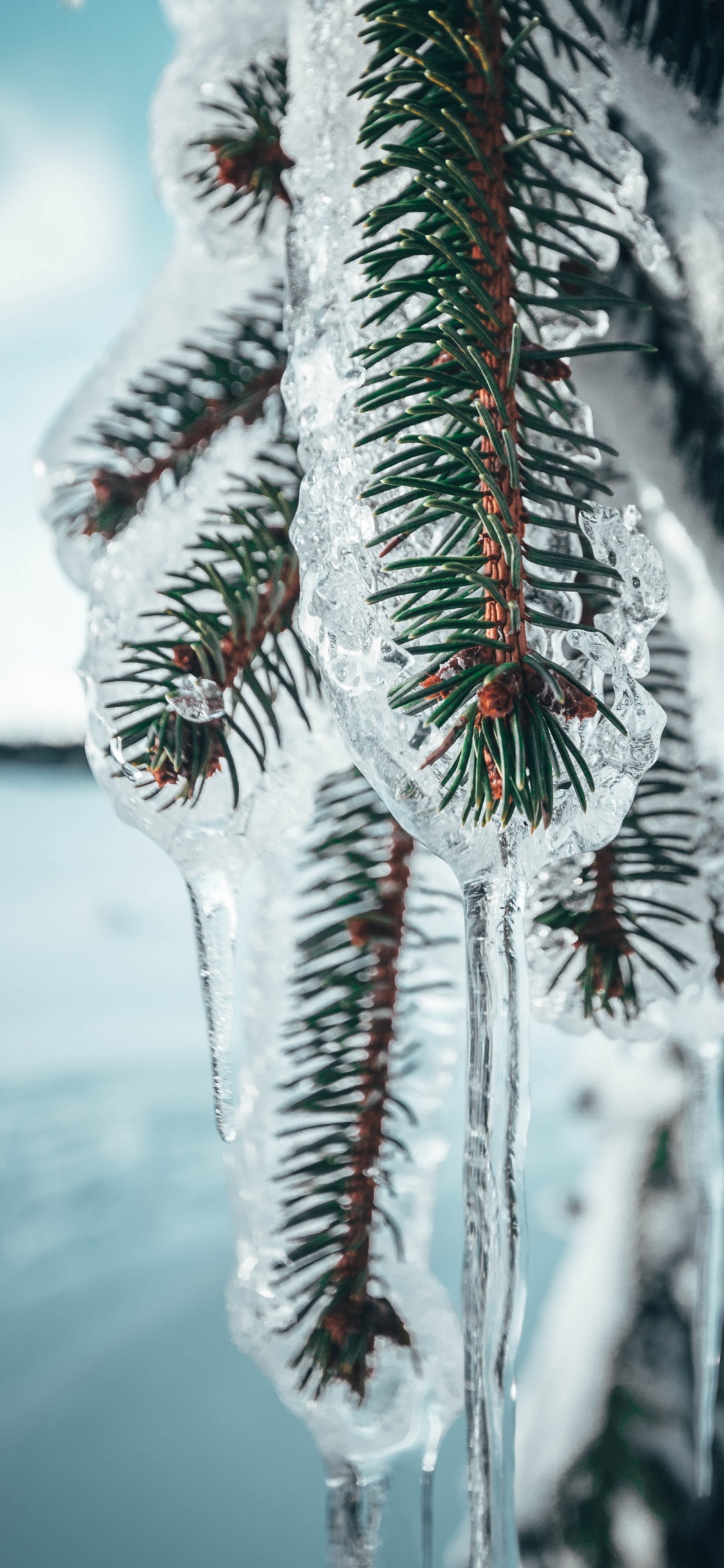 Nokia 8, Google Pixel, Pino, Android, Serie Meizu Pro. Wallpaper in 1125x2436 Resolution