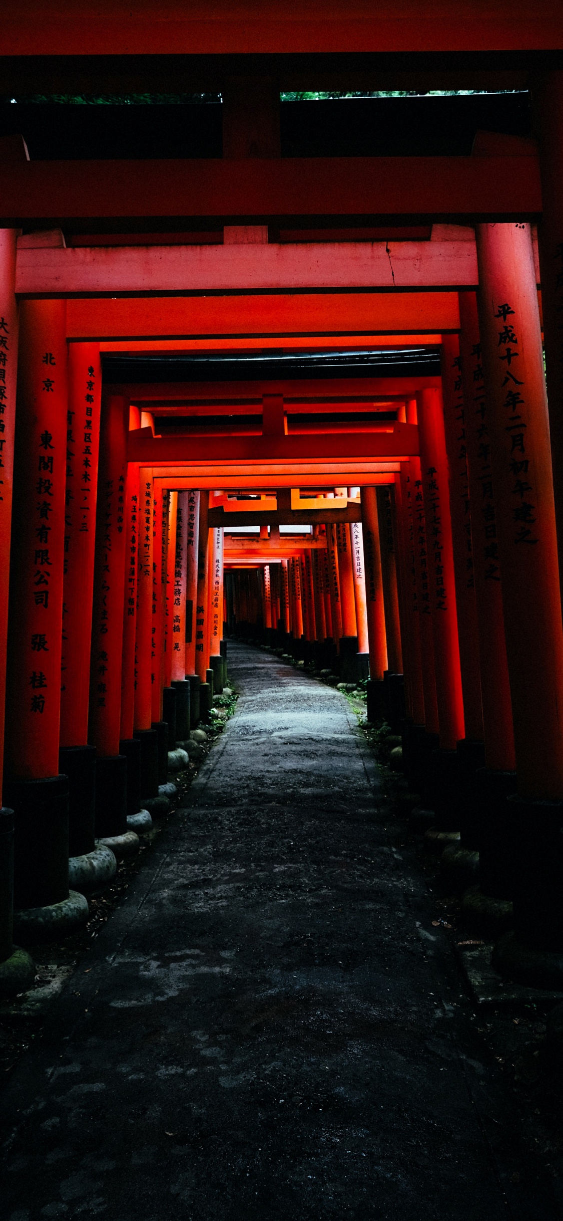 Fushimi Inari-taisha, Torii, Architecture, Amber, Symmetry. Wallpaper in 1125x2436 Resolution