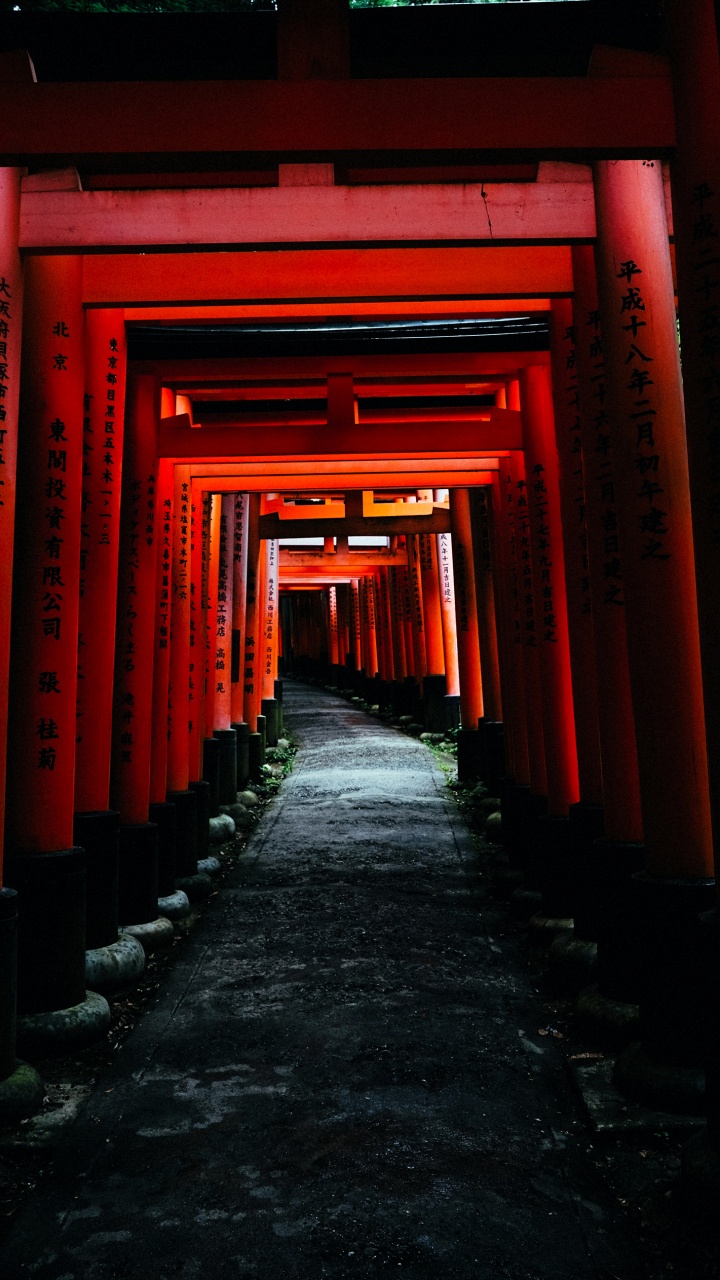 Fushimi Inari-taisha, Torii, Architecture, Ambre, Symétrie. Wallpaper in 720x1280 Resolution