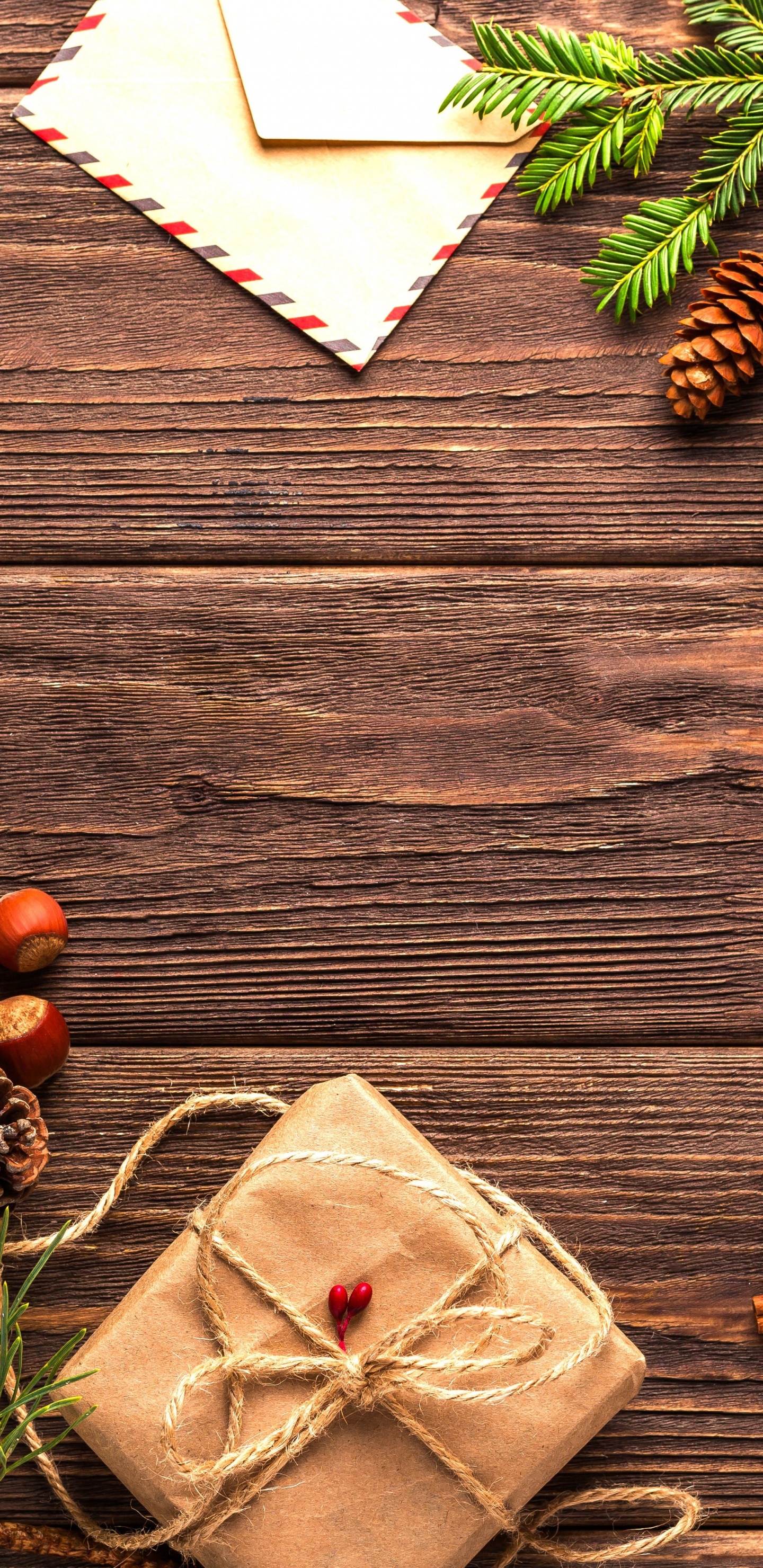 Holiday, Christmas Day, Christmas Tree, Christmas Decoration, New Year. Wallpaper in 1440x2960 Resolution