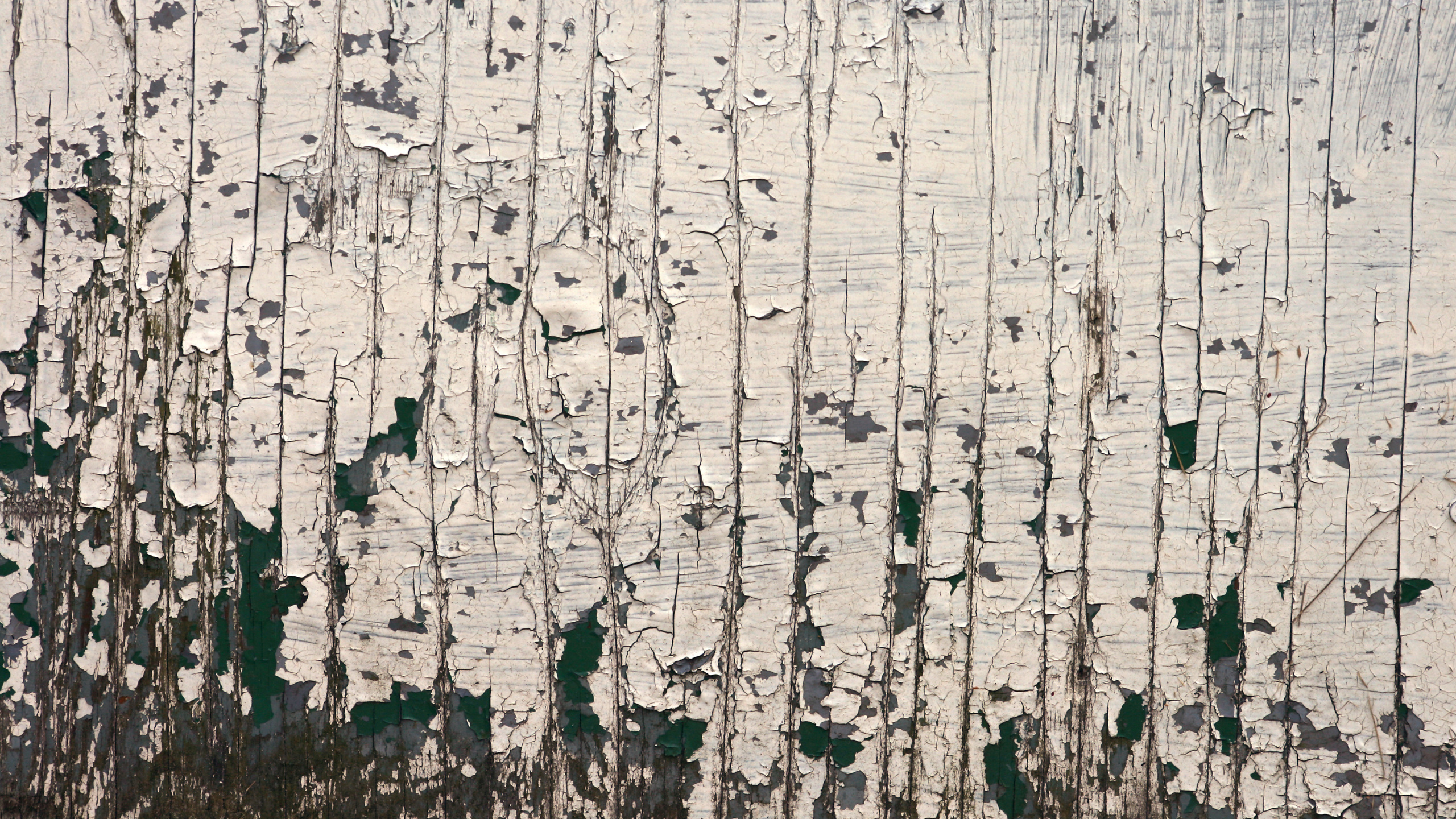 Valla de Madera Blanca y Negra. Wallpaper in 2560x1440 Resolution