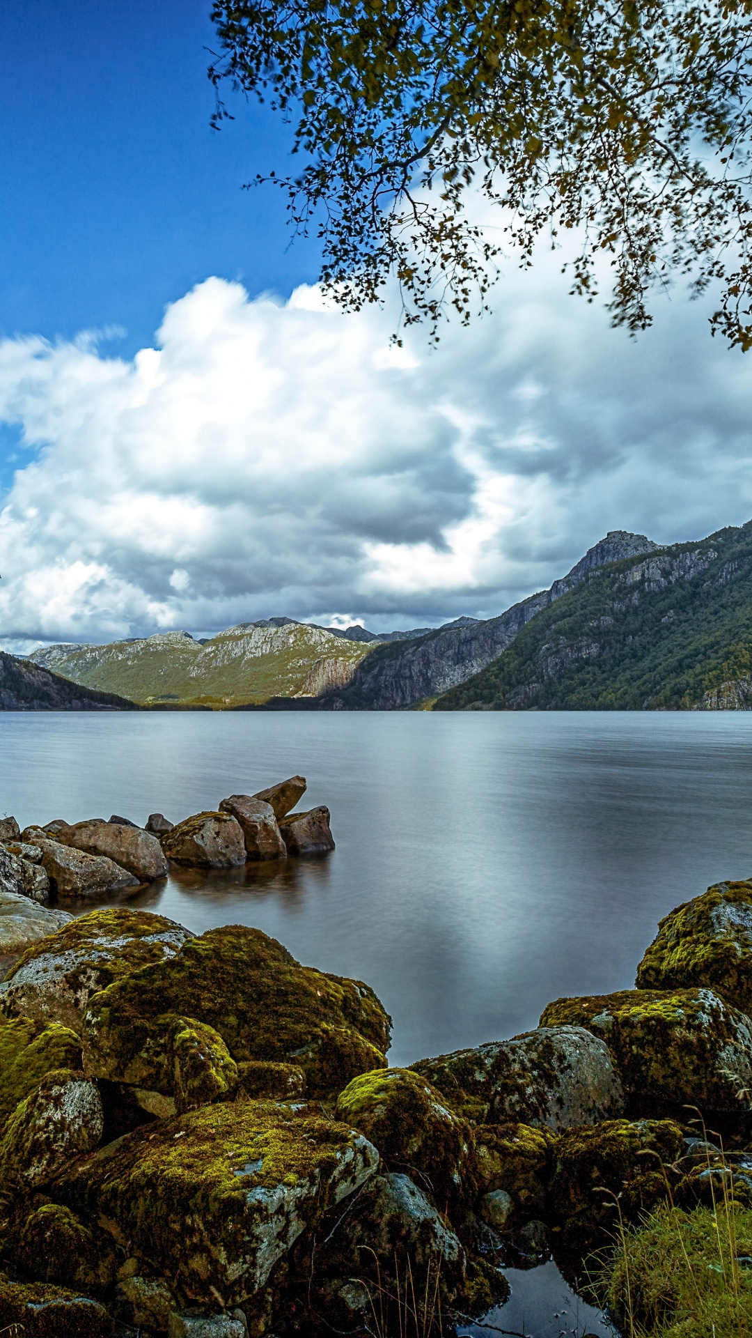 Perro Marrón y Negro Sobre Una Roca Marrón Cerca Del Cuerpo de Agua Durante el Día. Wallpaper in 1080x1920 Resolution
