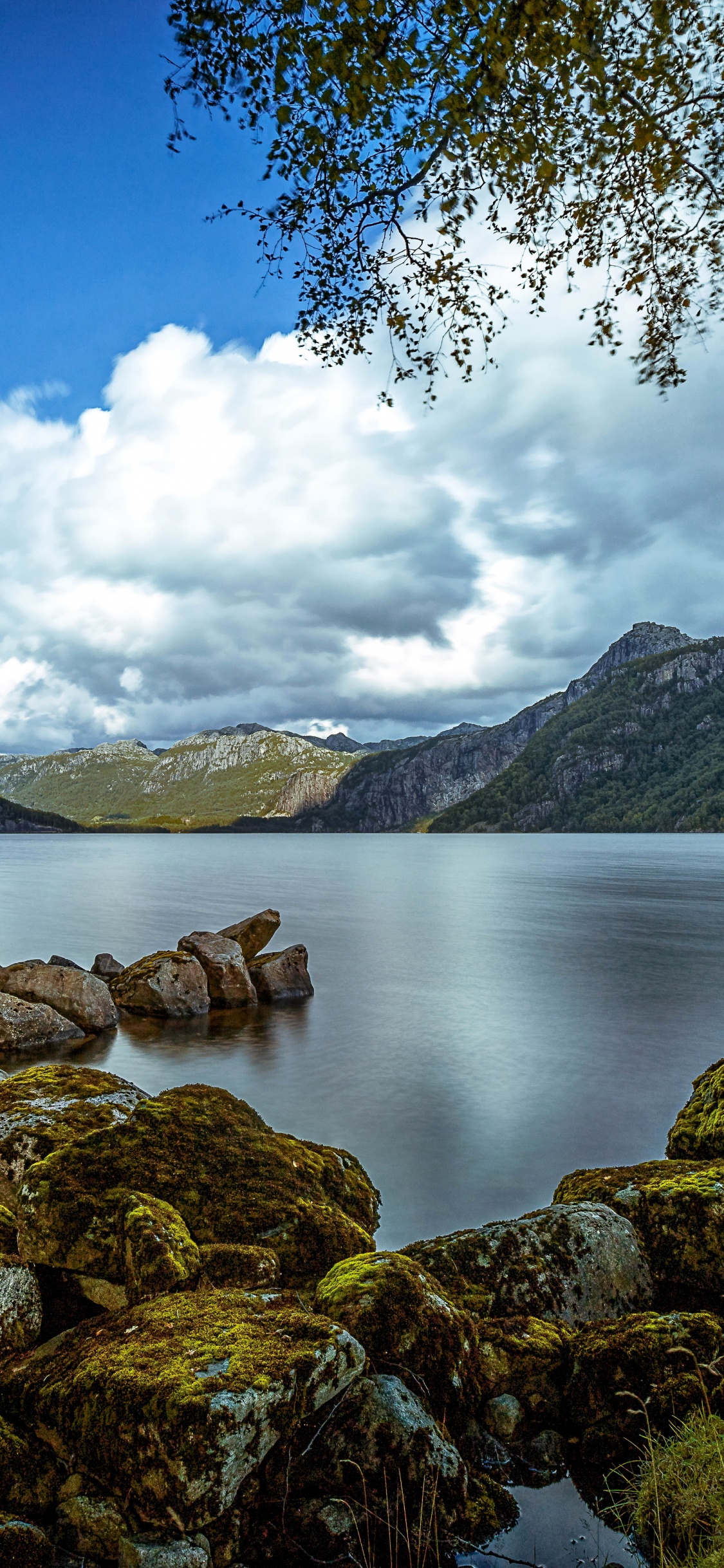 Perro Marrón y Negro Sobre Una Roca Marrón Cerca Del Cuerpo de Agua Durante el Día. Wallpaper in 1125x2436 Resolution