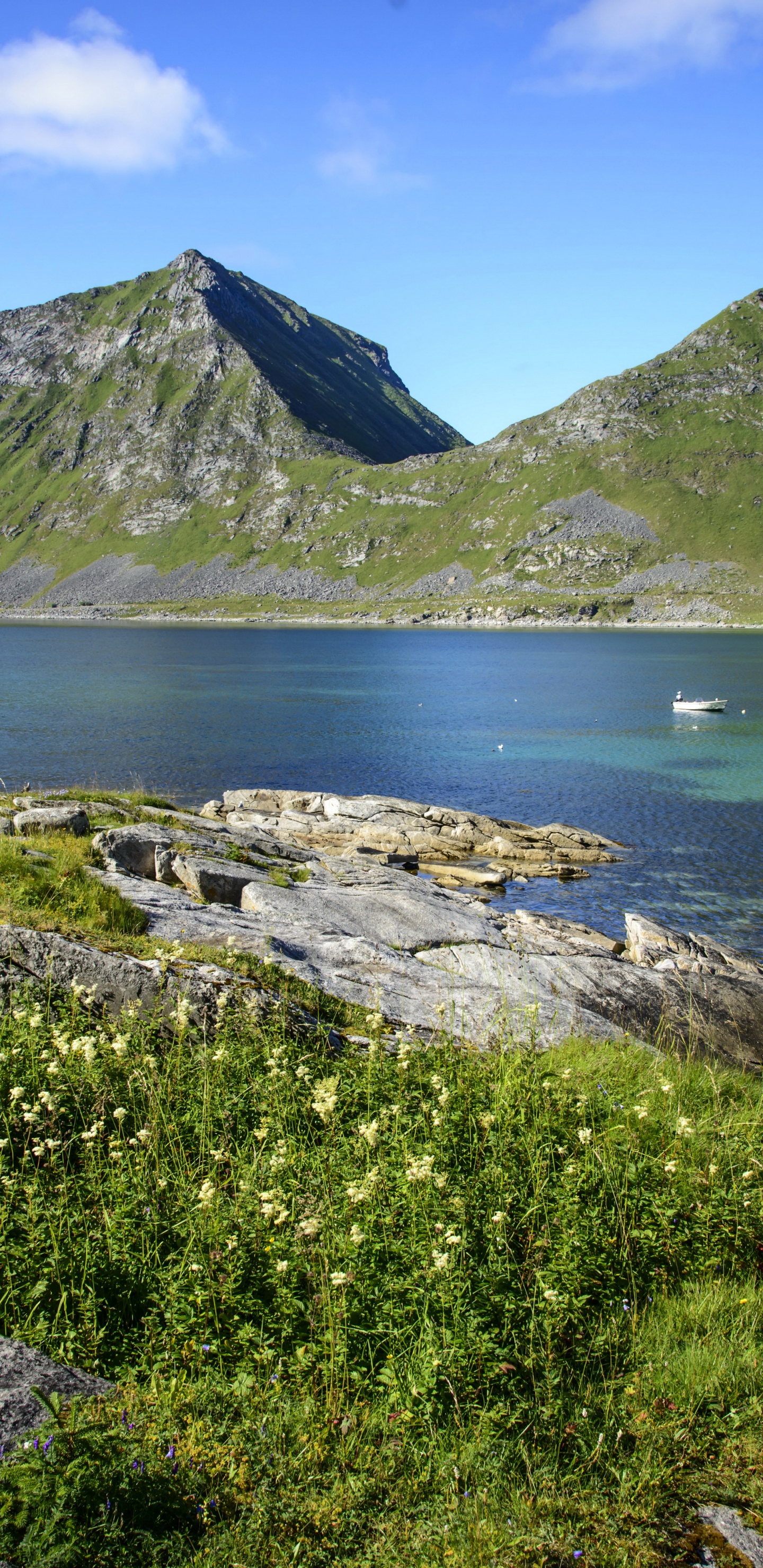 Green and Gray Mountain Beside Body of Water During Daytime. Wallpaper in 1440x2960 Resolution