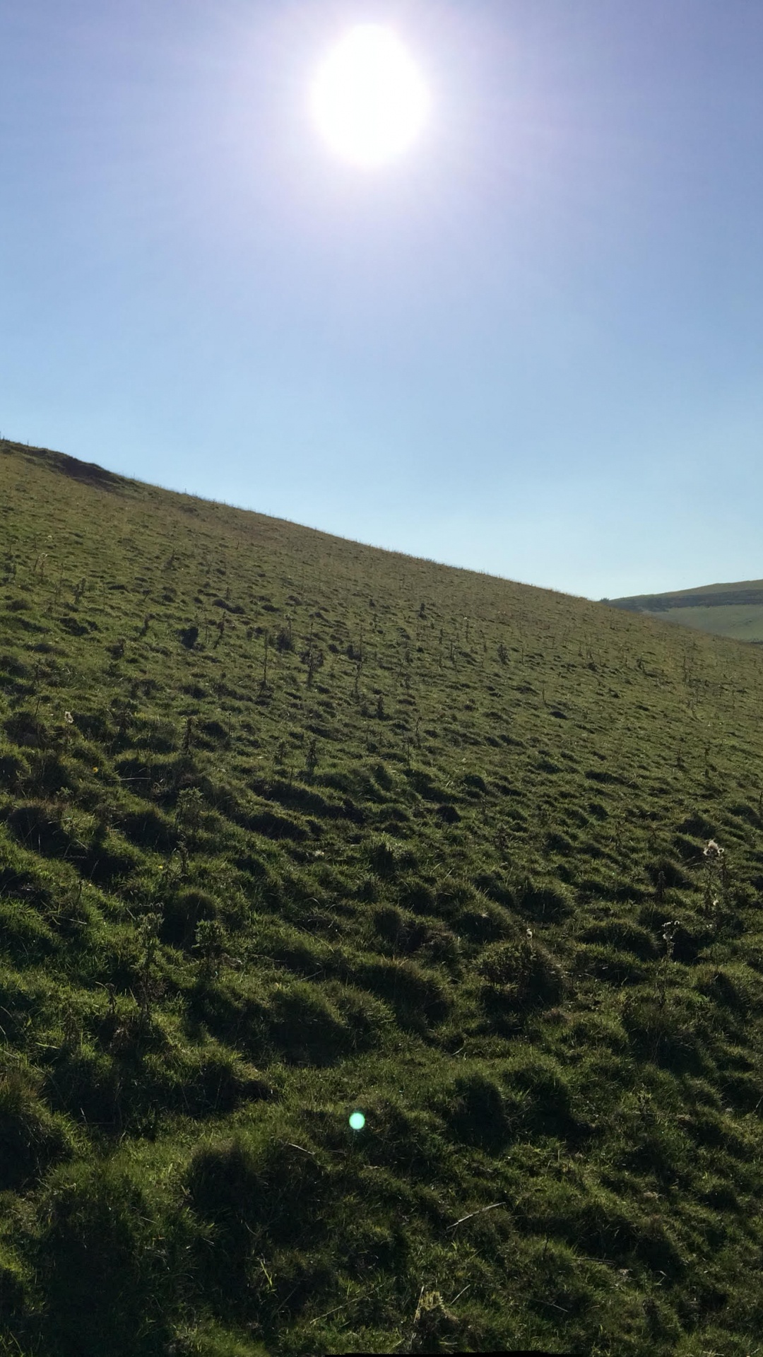 Green Grass Field Under Blue Sky During Daytime. Wallpaper in 1080x1920 Resolution