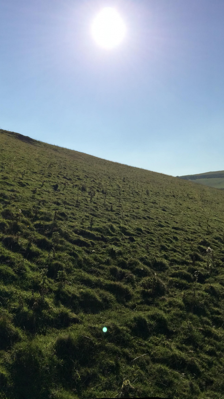 Green Grass Field Under Blue Sky During Daytime. Wallpaper in 750x1334 Resolution
