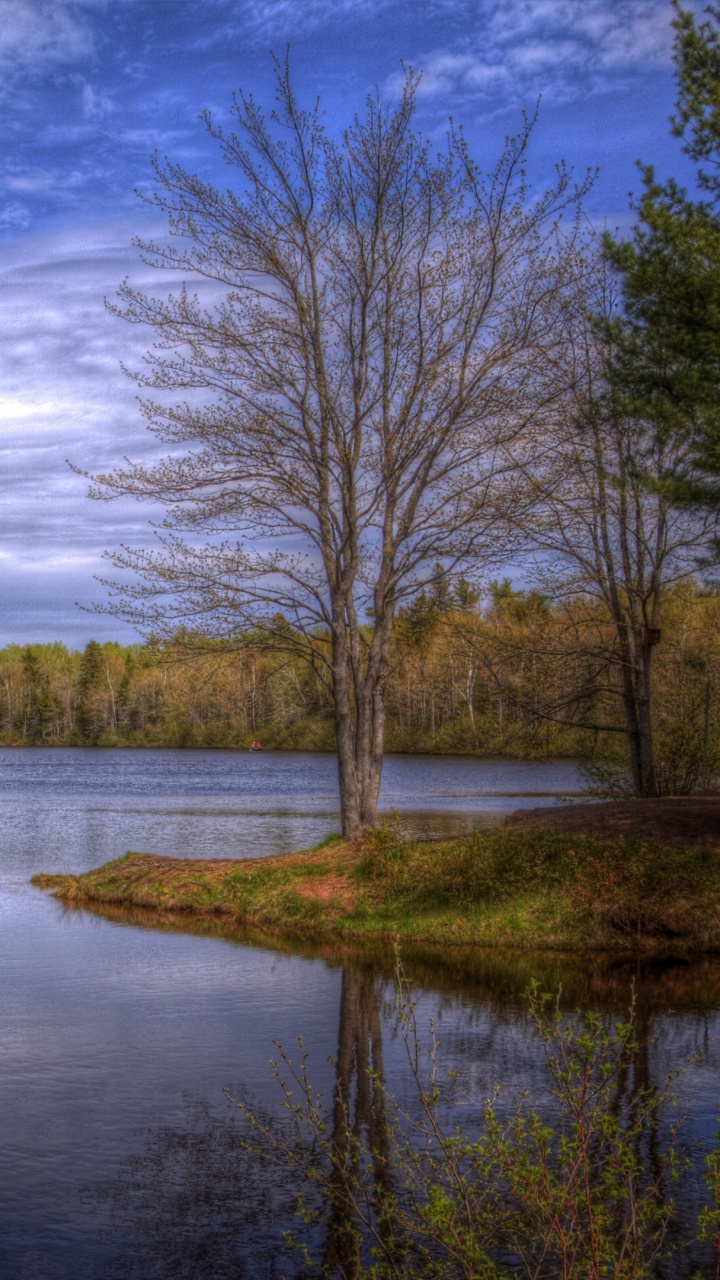 Body of Water Near Trees Under Cloudy Sky During Daytime. Wallpaper in 720x1280 Resolution