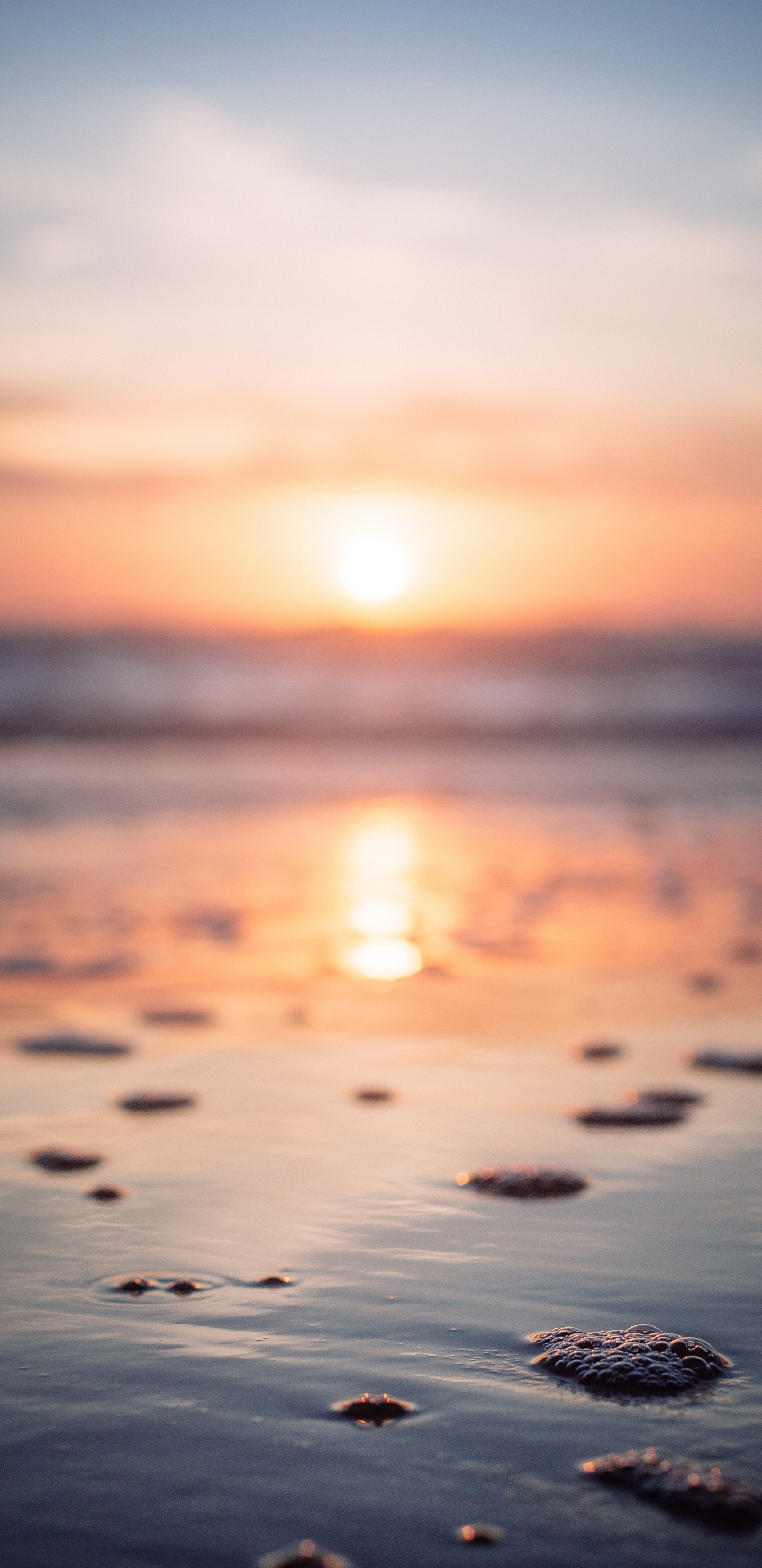 Sunset, Sunrise, Horizon, Sea, Ocean. Wallpaper in 1440x2960 Resolution