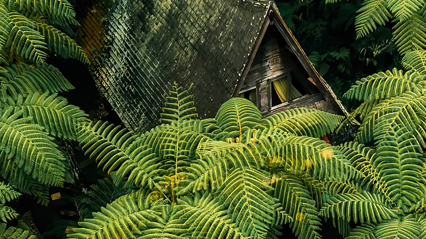 Vegetation, Gemäßigten Nadelwald, Pflanzen-Gemeinschaft, Branch, Terrestrische Pflanzen. Wallpaper in 1366x768 Resolution