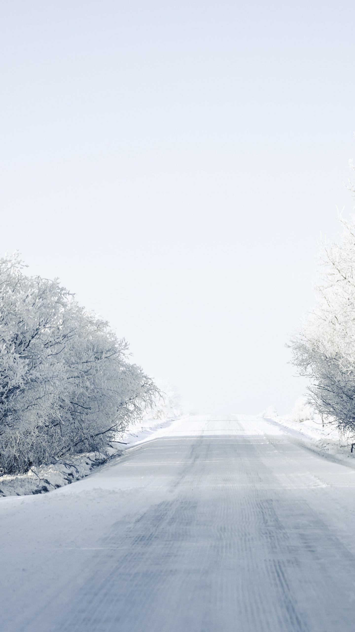 Download 1440x2560 Wallpaper Blizzard, Frost, Highway, Winter, Branch Blizzard, Frost, Highway, Winter, Branch. Wallpaper in 1440x2560 Resolution