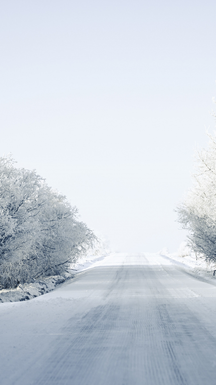 Blizzard, Helada, Invierno, Sucursal, Carretera. Wallpaper in 750x1334 Resolution