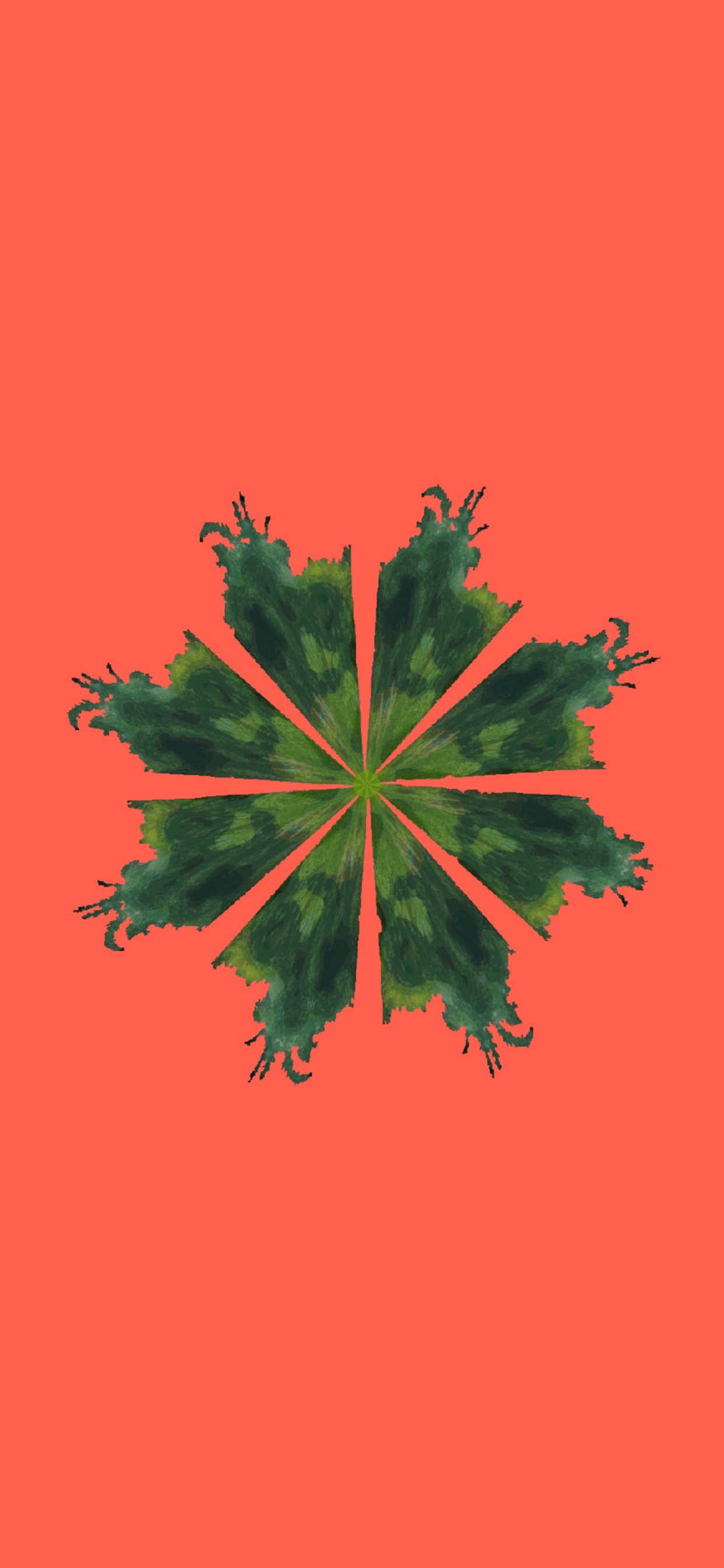 写作, 阅读, 艺术, 显花植物, 对称 壁纸 1242x2688 允许