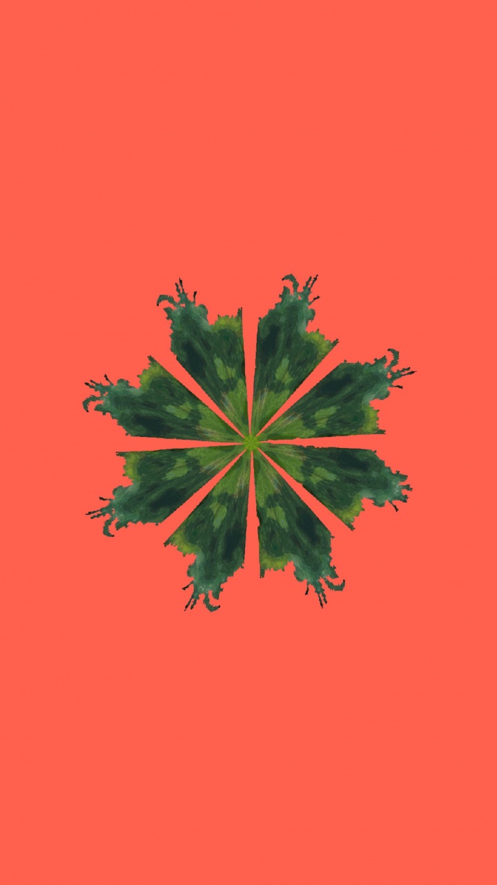 写作, 阅读, 艺术, 显花植物, 对称 壁纸 720x1280 允许