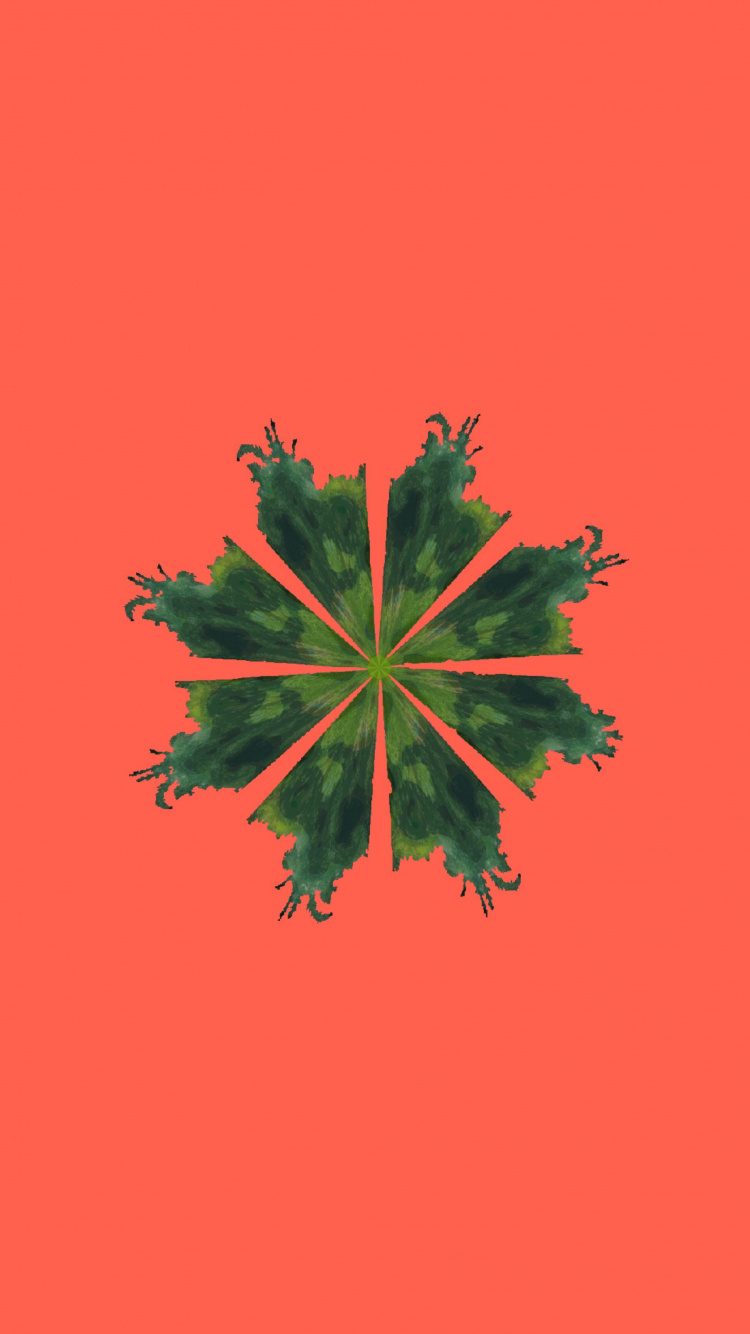 写作, 阅读, 艺术, 显花植物, 对称 壁纸 750x1334 允许