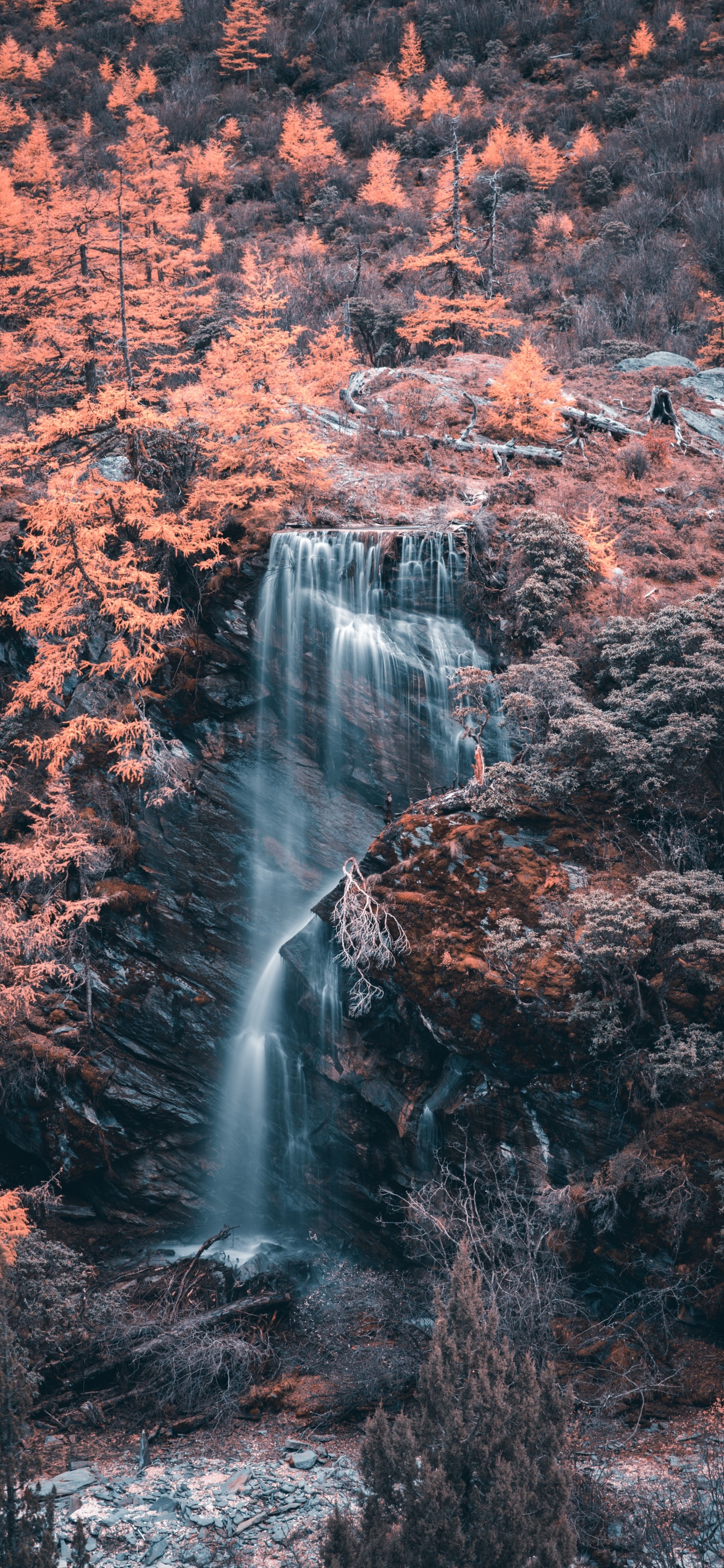 Cascade, Corps de L'eau, Eau, Nature, Paysage Naturel. Wallpaper in 1242x2688 Resolution