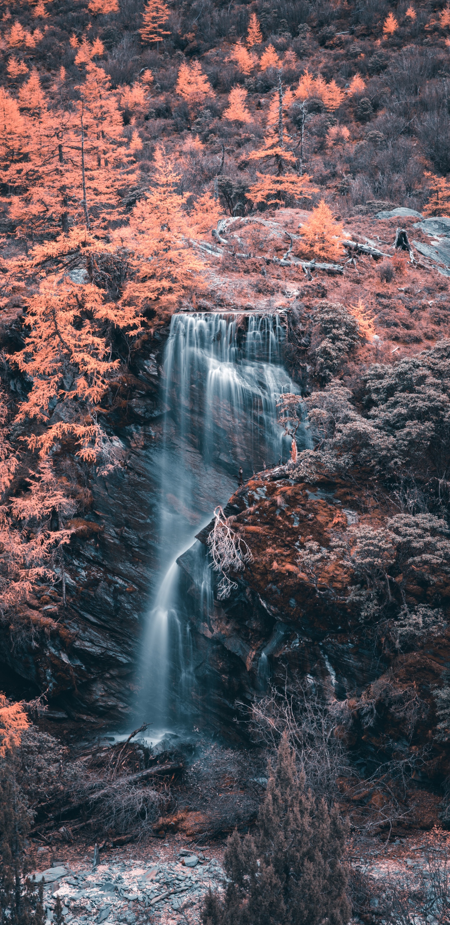 Cascade, Corps de L'eau, Eau, Nature, Paysage Naturel. Wallpaper in 1440x2960 Resolution