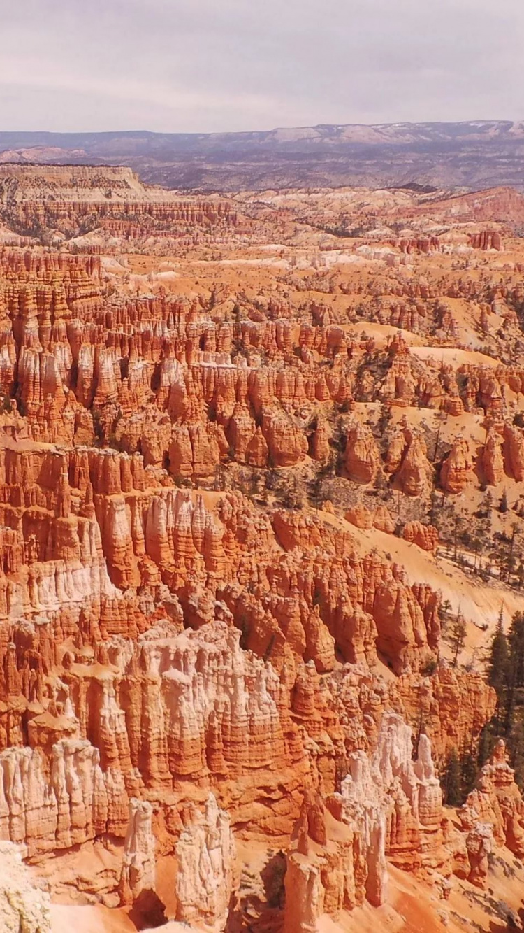 Brown Rock Formation Under Blue Sky During Daytime. Wallpaper in 750x1334 Resolution