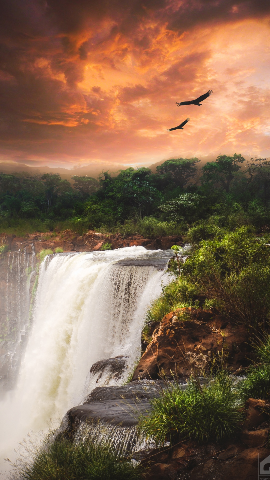 Cascada, Agua, Ave, Ecorregión, Paisaje Natural. Wallpaper in 1080x1920 Resolution