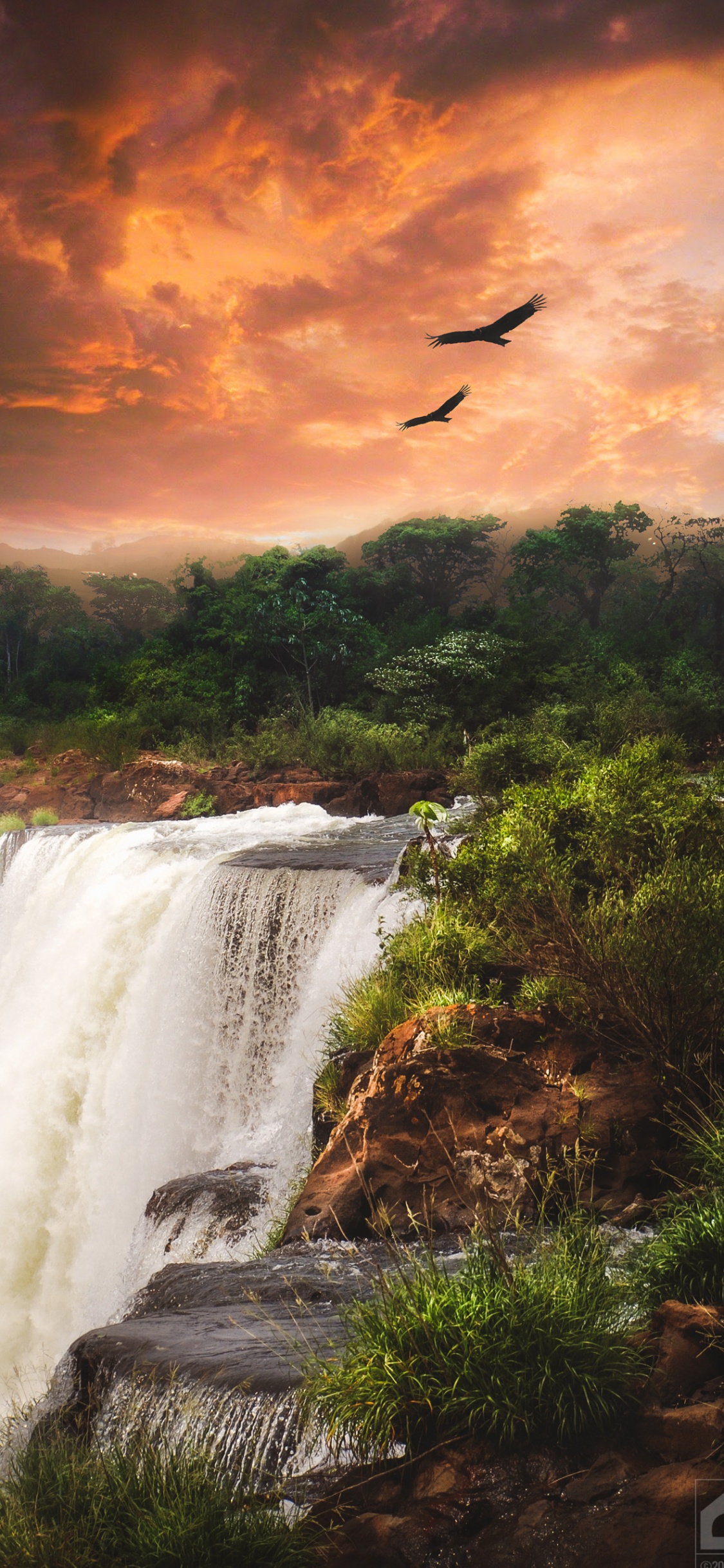 Wasserfall, Cloud, Wasser, Vogel, Ökoregion. Wallpaper in 1125x2436 Resolution