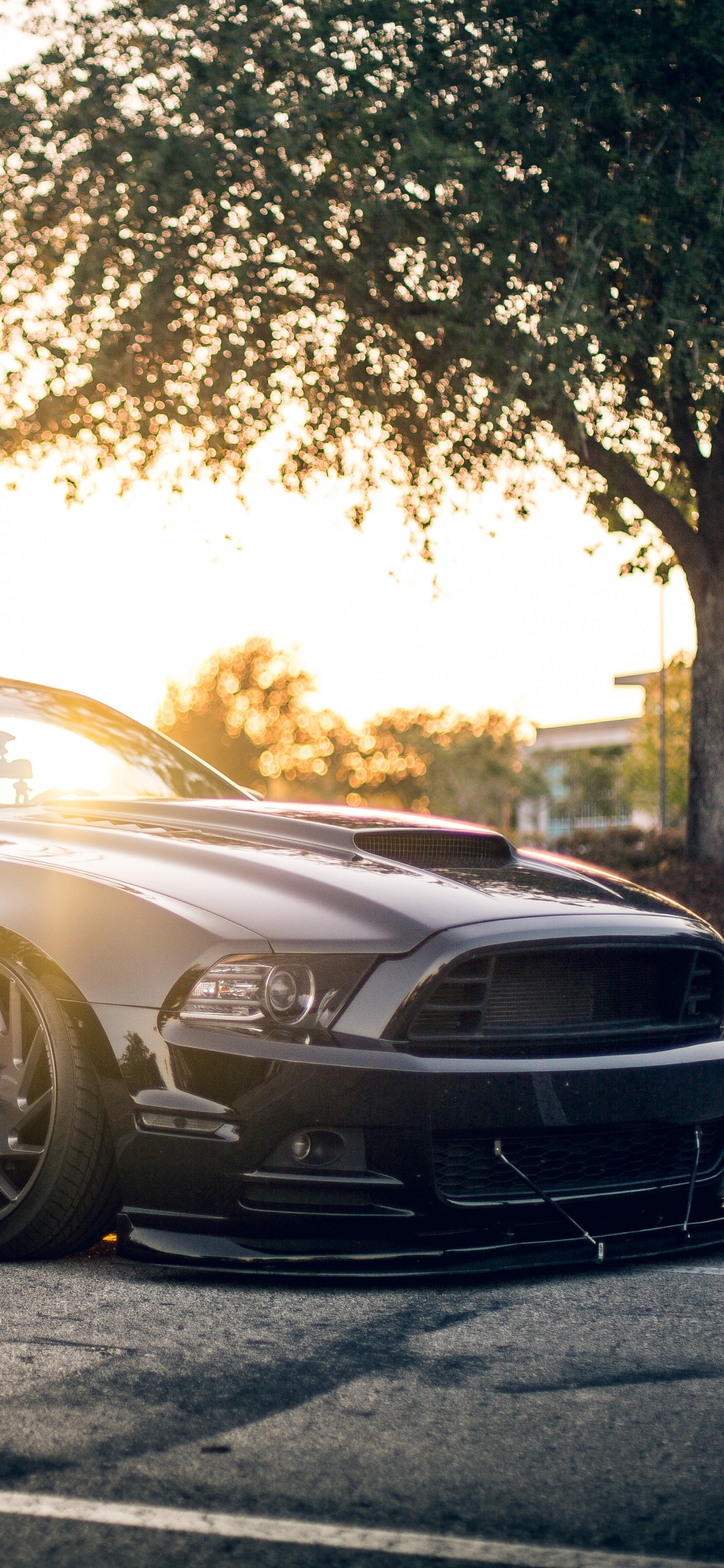 Porsche 911 Negro en la Carretera Durante el Día. Wallpaper in 1242x2688 Resolution