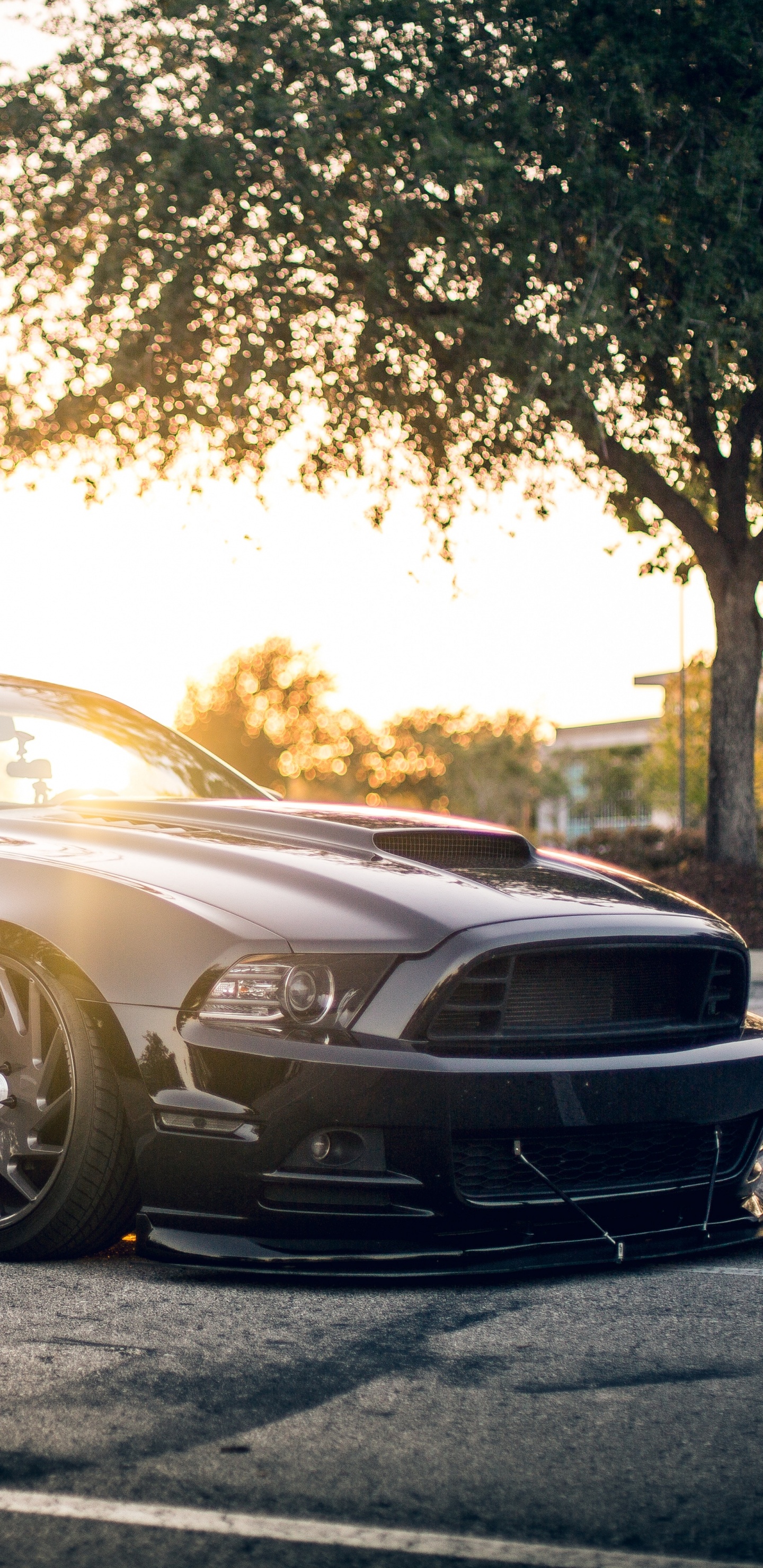 Porsche 911 Noire Sur Route Pendant la Journée. Wallpaper in 1440x2960 Resolution