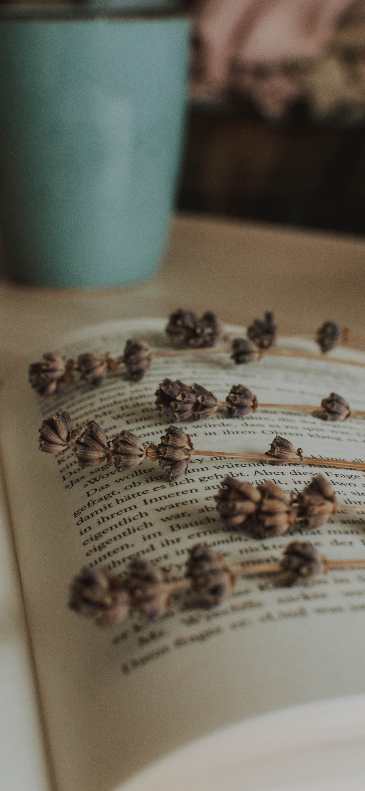 Text. Wallpaper in 1242x2688 Resolution