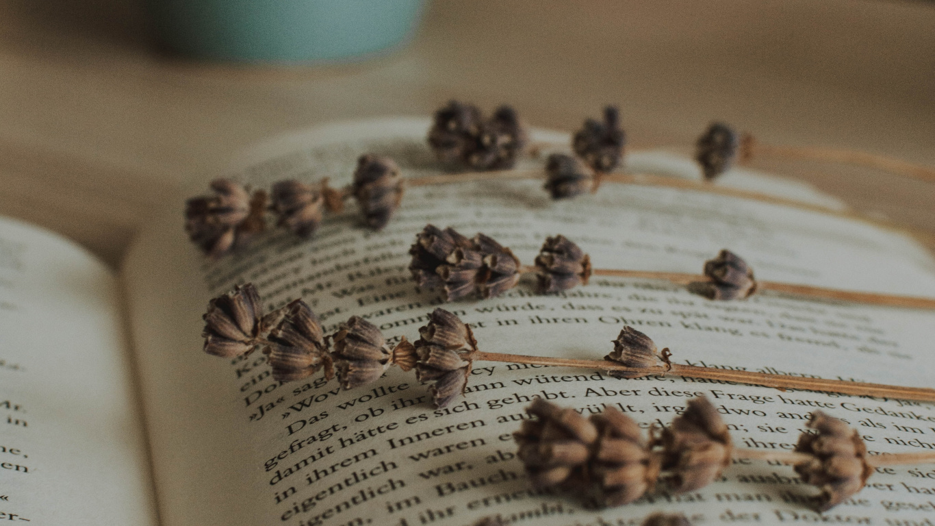 Texto. Wallpaper in 1366x768 Resolution