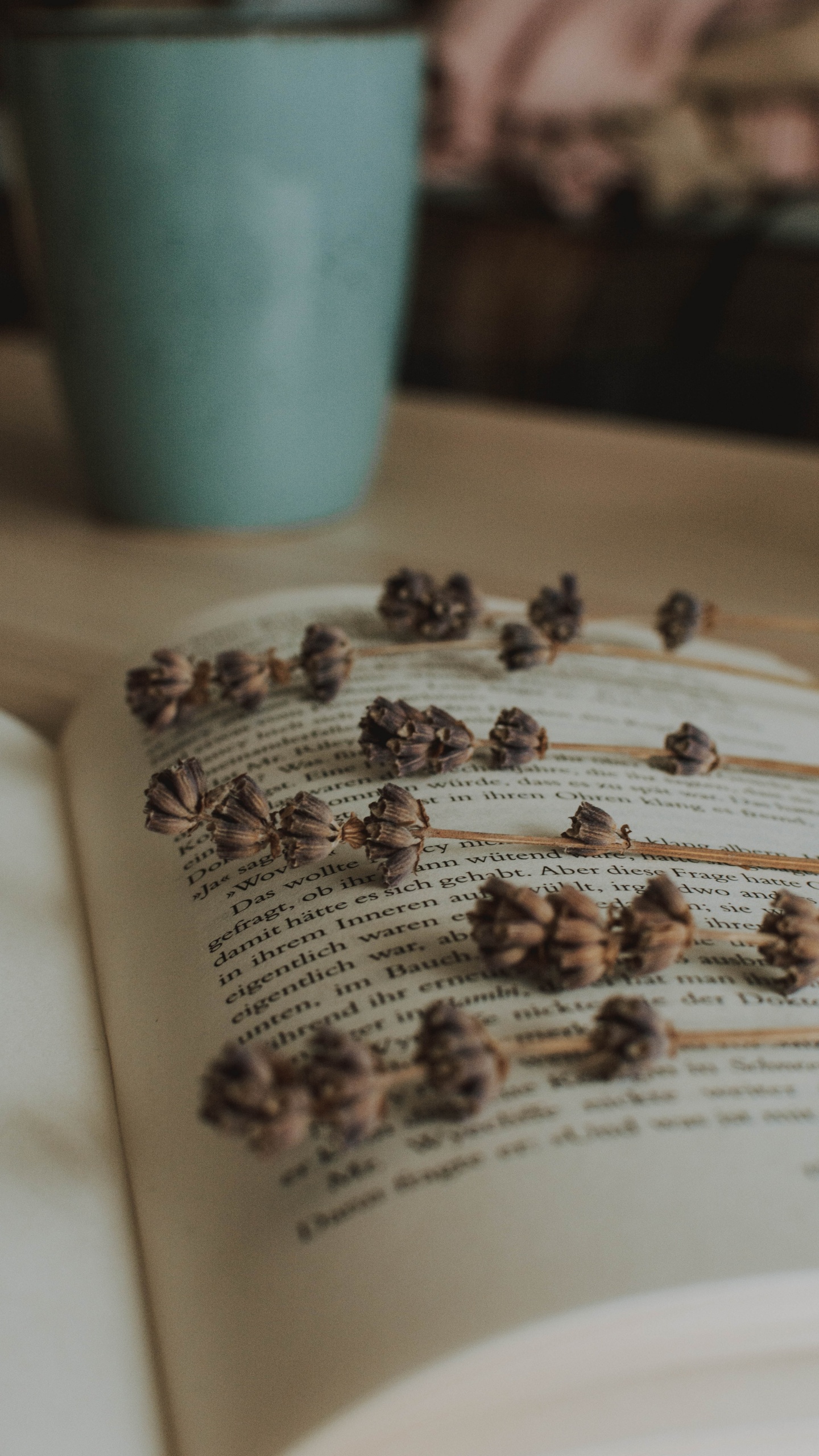 Texto. Wallpaper in 1440x2560 Resolution