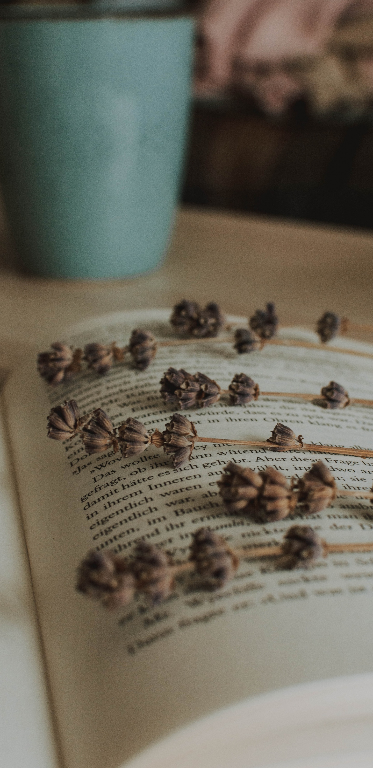 Texto. Wallpaper in 1440x2960 Resolution