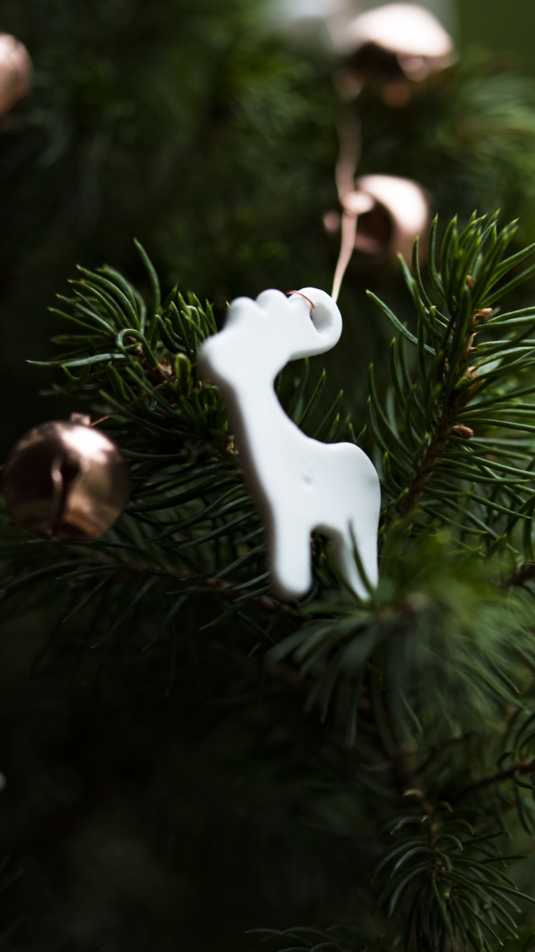 Le Jour De Noël, Arbre de Noël, Ornement de Noël, Santa Claus, Décoration de Noël. Wallpaper in 750x1334 Resolution