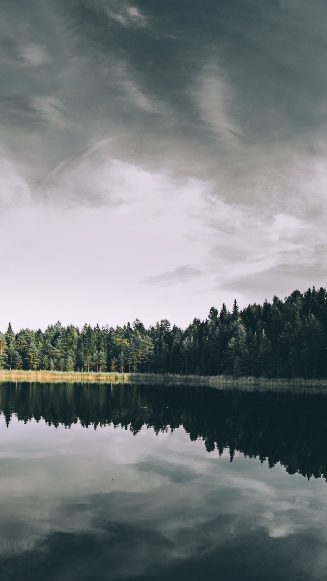 Green Trees Near Body of Water Under Cloudy Sky During Daytime. Wallpaper in 1080x1920 Resolution