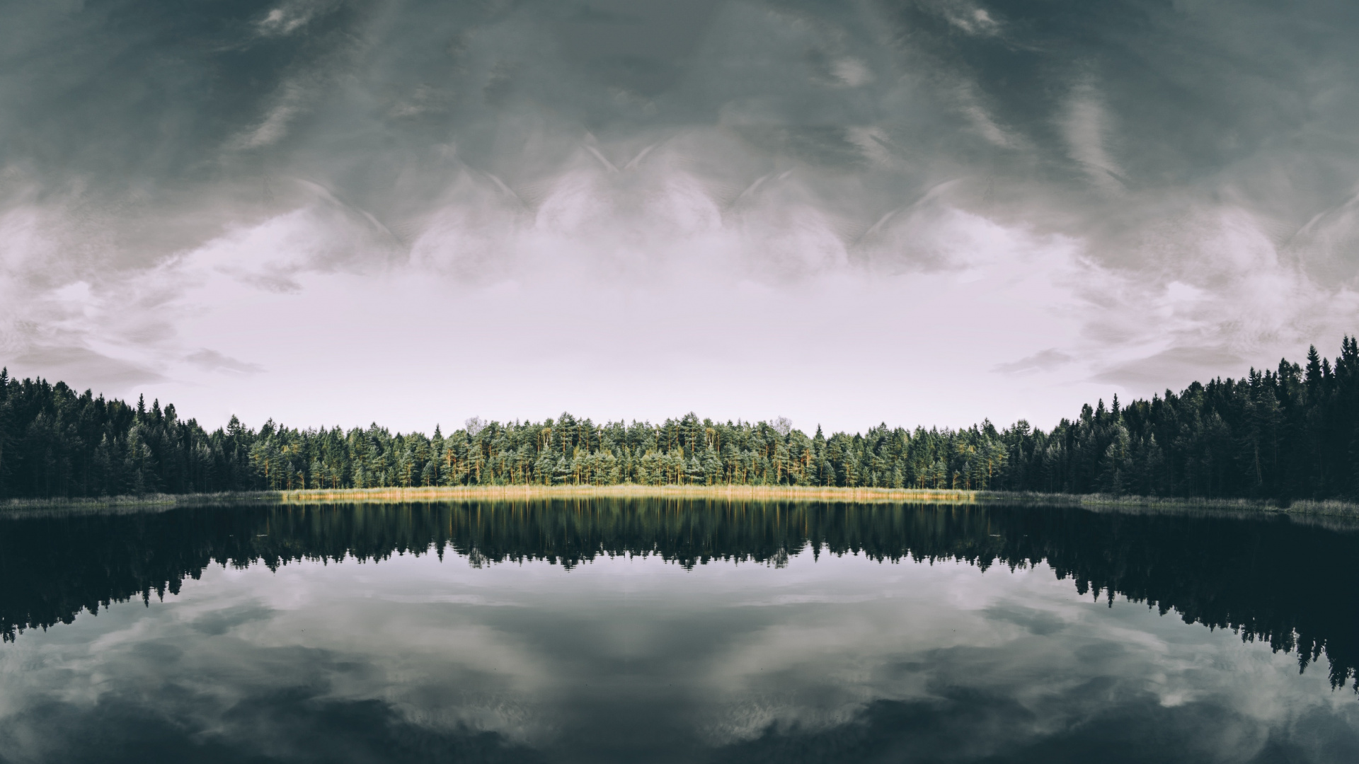 Green Trees Near Body of Water Under Cloudy Sky During Daytime. Wallpaper in 1920x1080 Resolution