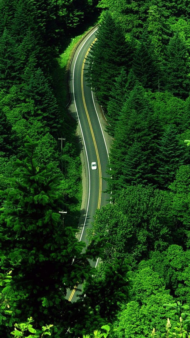 Aerial View of Road in The Middle of Green Trees. Wallpaper in 750x1334 Resolution