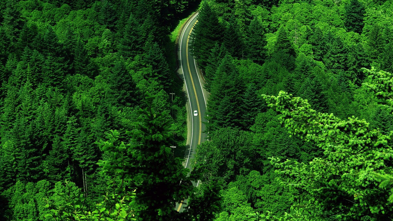 Vue Aérienne de la Route au Milieu Des Arbres Verts. Wallpaper in 1366x768 Resolution