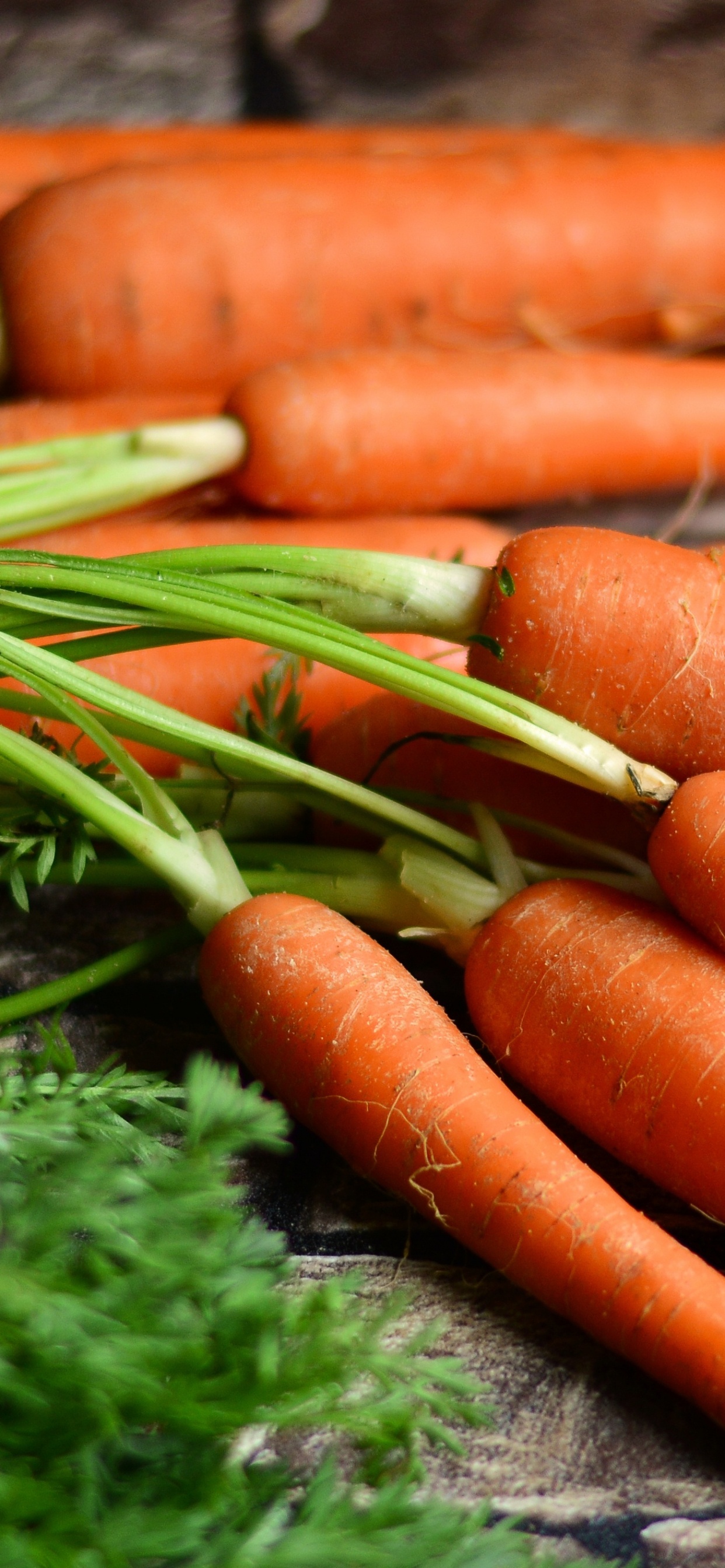 Orange Carrots on Green Moss. Wallpaper in 1242x2688 Resolution