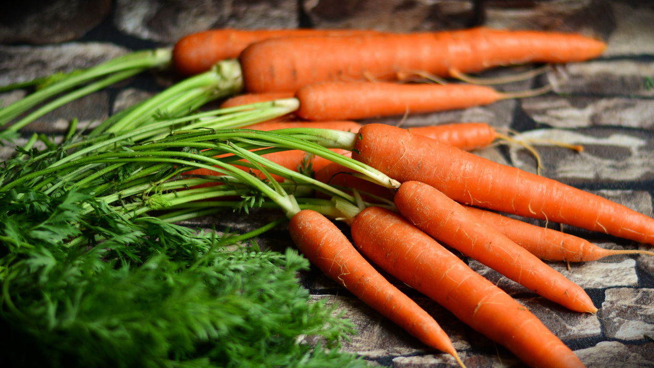 Orange Carrots on Green Moss. Wallpaper in 1280x720 Resolution