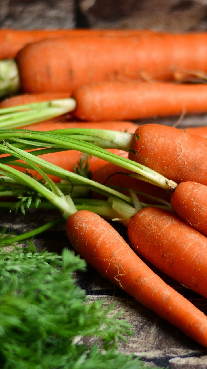 Orange Carrots on Green Moss. Wallpaper in 720x1280 Resolution