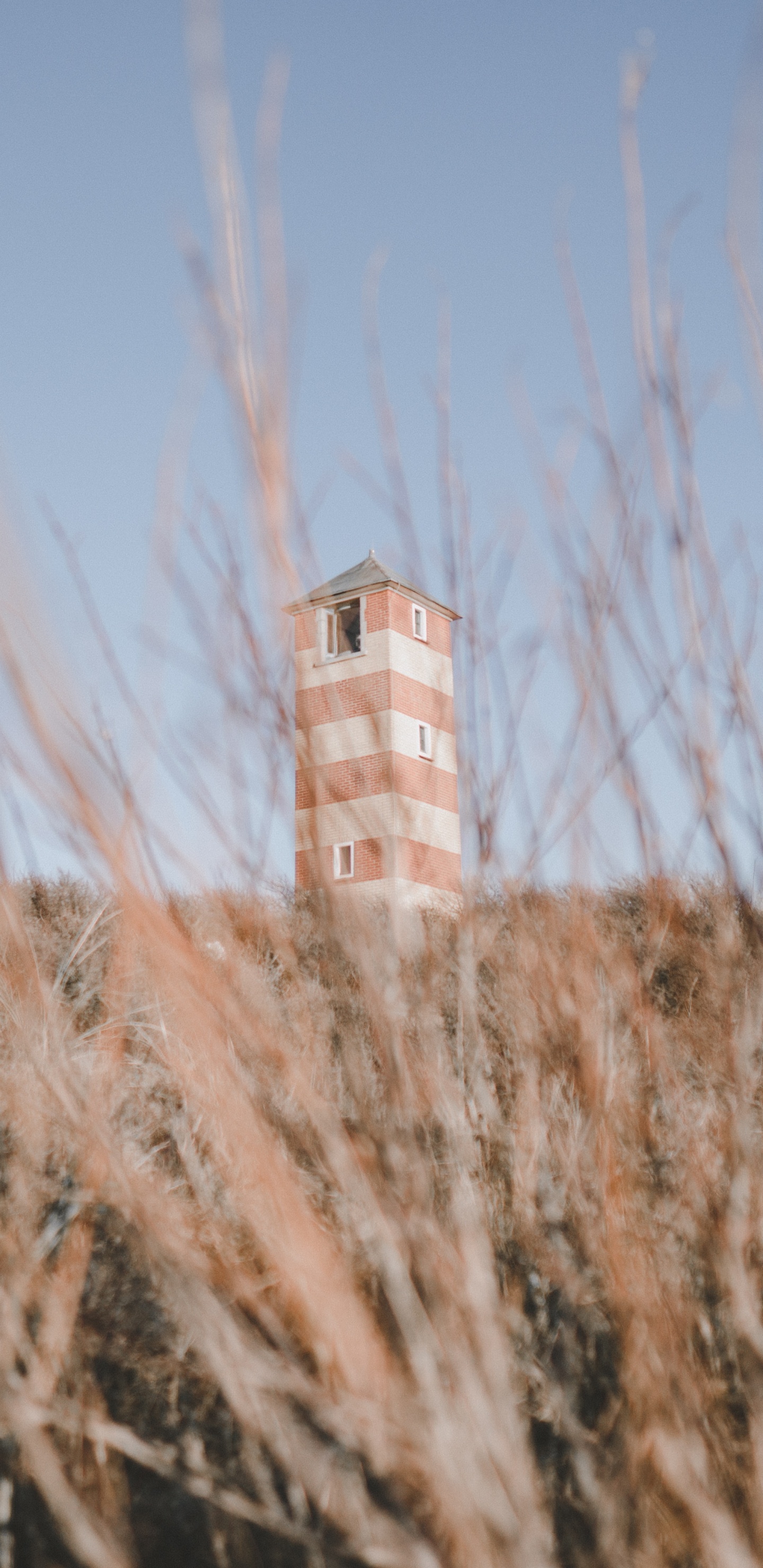 Gebäude, Architektur, Naturlandschaft, Gras, Prairie. Wallpaper in 1440x2960 Resolution