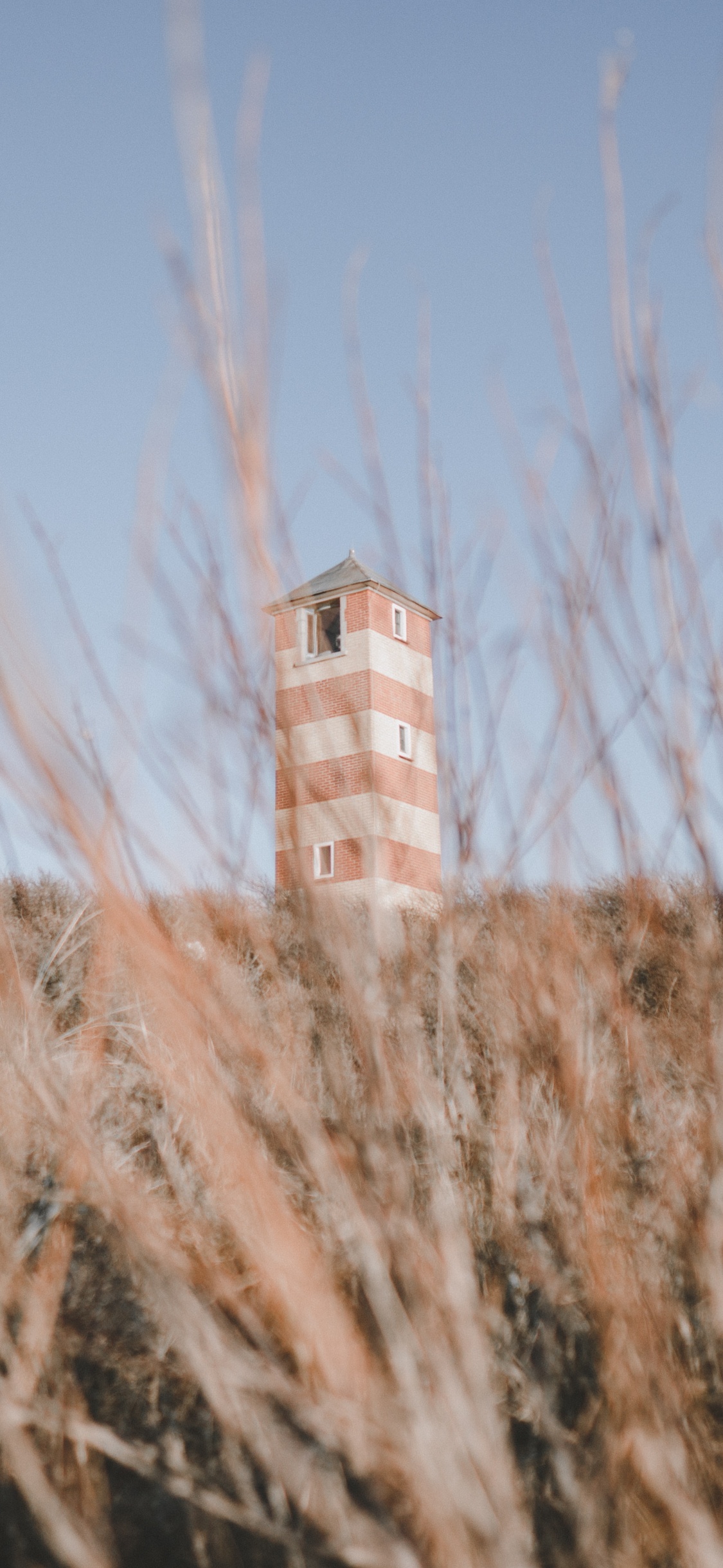 Bâtiment, Architecture, Paysage Naturel, Phragmites, L'herbe de la Famille. Wallpaper in 1125x2436 Resolution