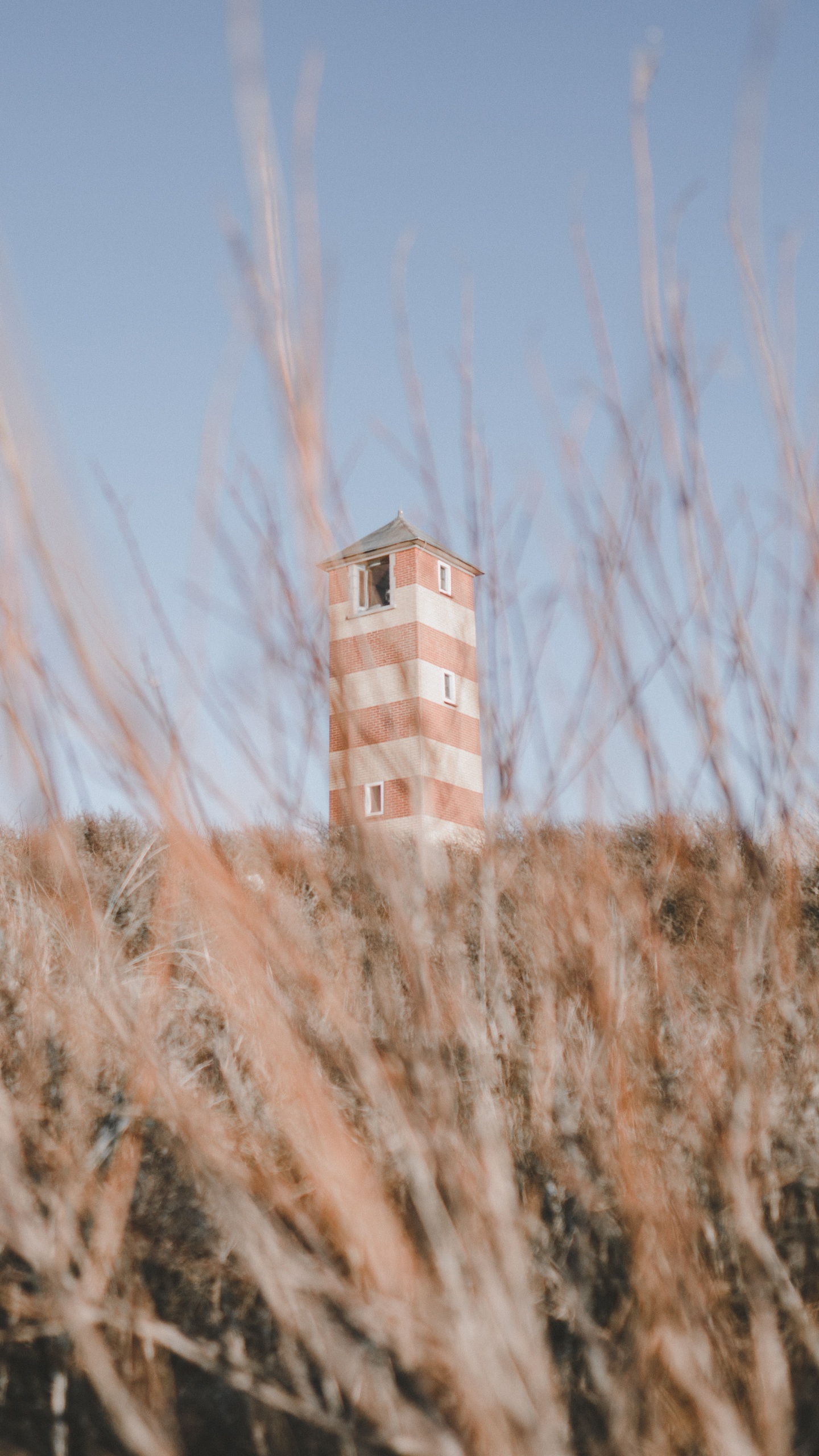 Edificio, Arquitectura, Paisaje Natural, Pradera, Phragmites. Wallpaper in 1440x2560 Resolution