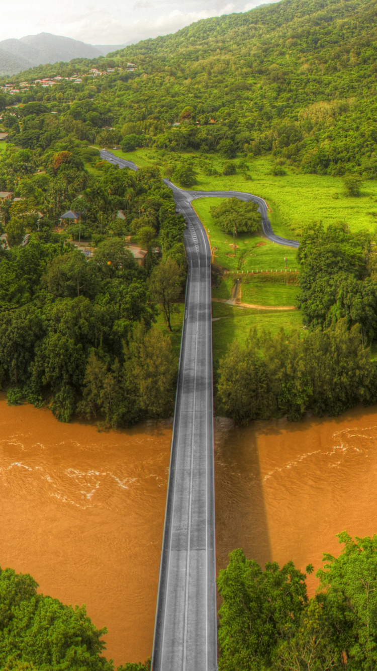 水资源, 自然保护区, 植被, 山站, 生物群落 壁纸 750x1334 允许