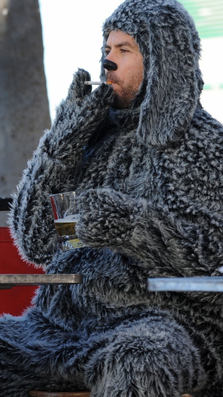 情景喜剧, 电视剧, 乐趣, 娱乐, 佛罗多 壁纸 720x1280 允许