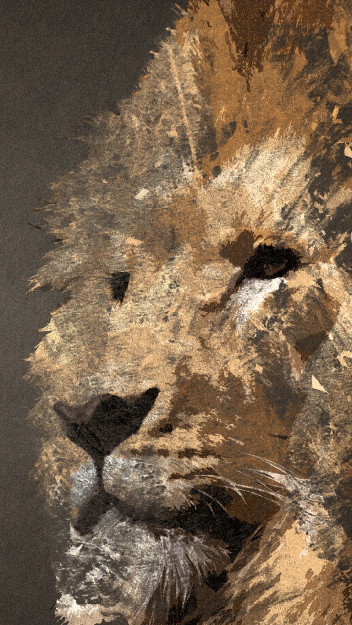 Cabeza, Carnívoro, Felidae, Agua, Leones. Wallpaper in 720x1280 Resolution